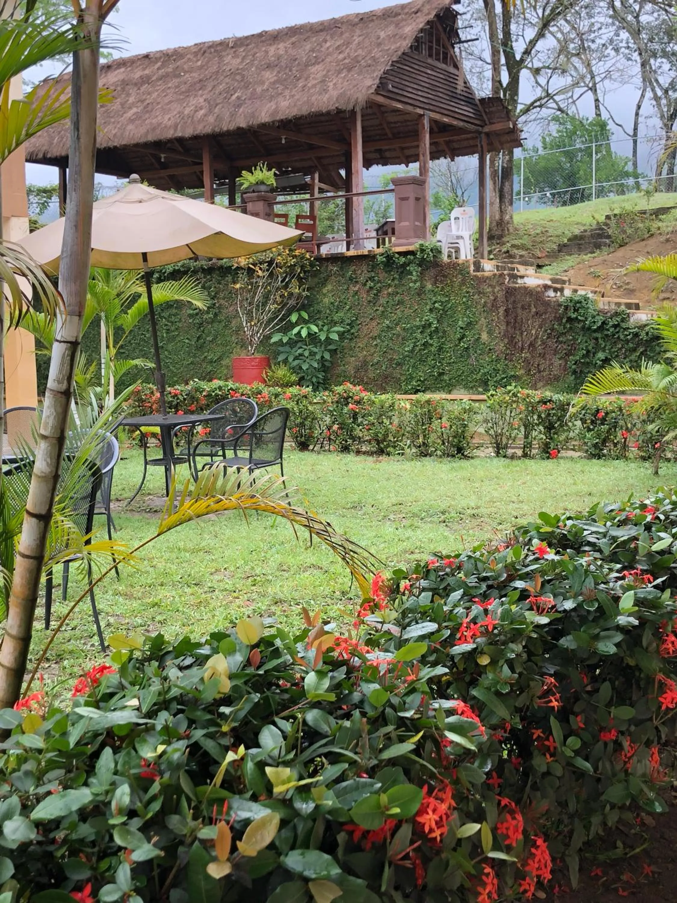 Garden in Hotel Vista Verde