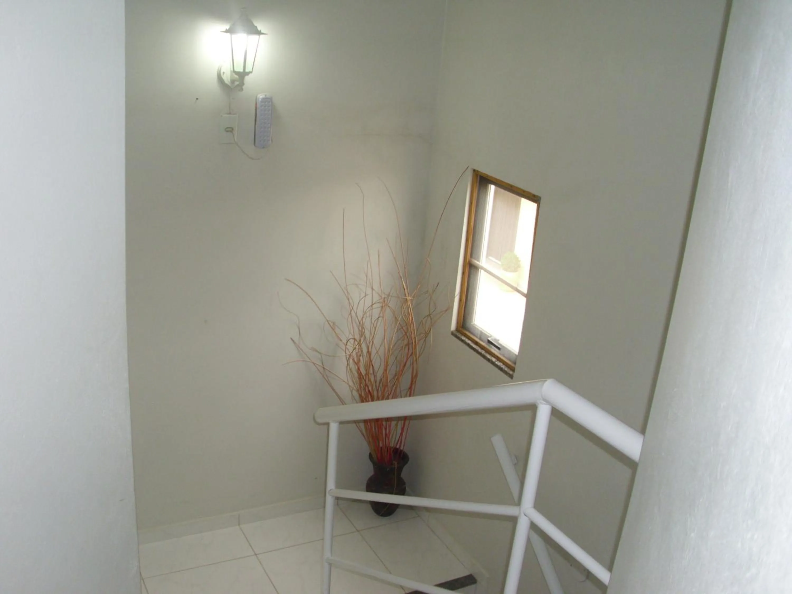 Area and facilities in Residencial Susy