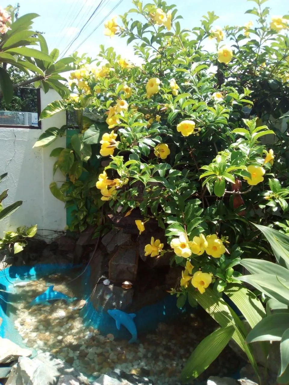 Patio in Residencial Susy