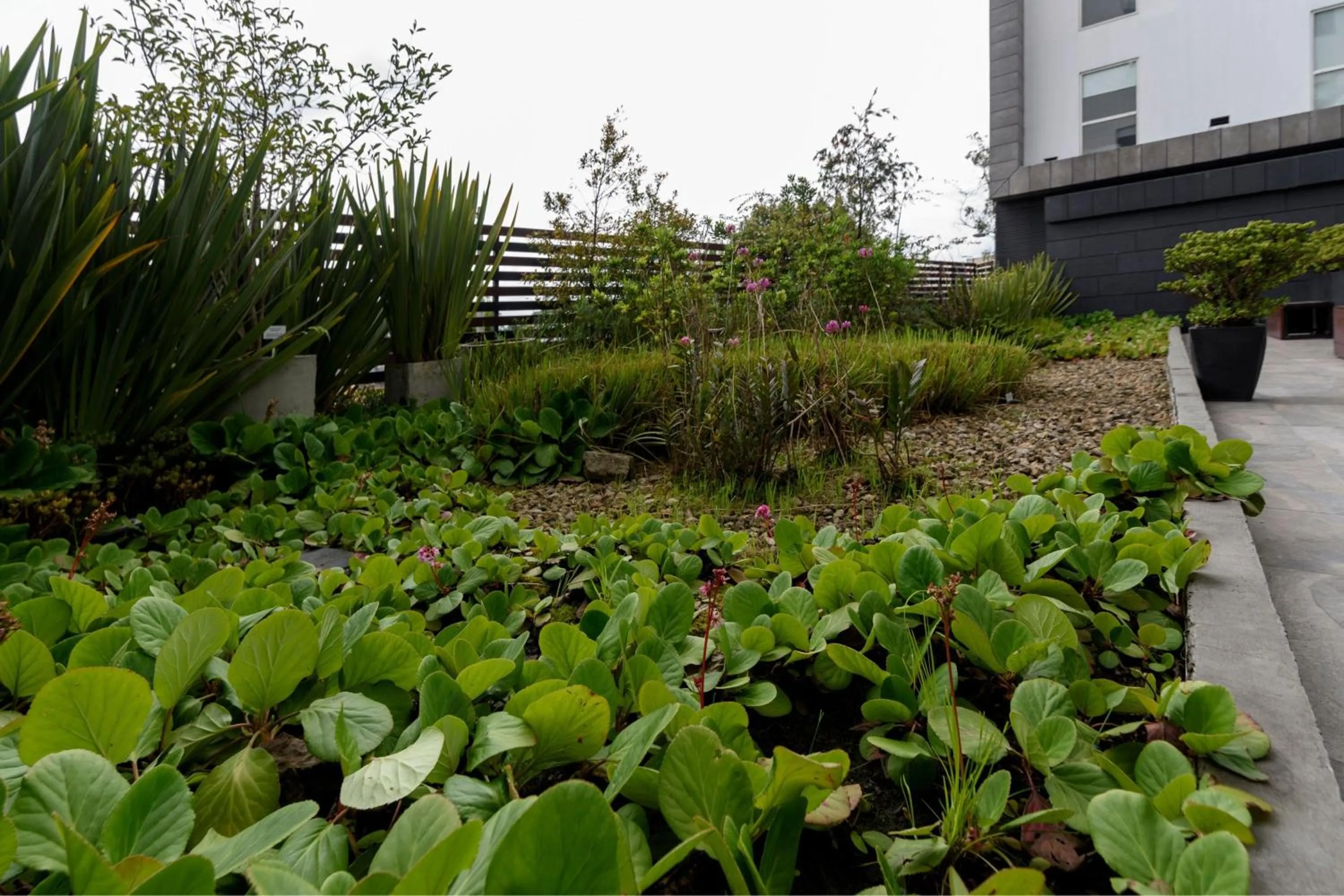 Other in City Express Plus by Marriott Bogota Aeropuerto