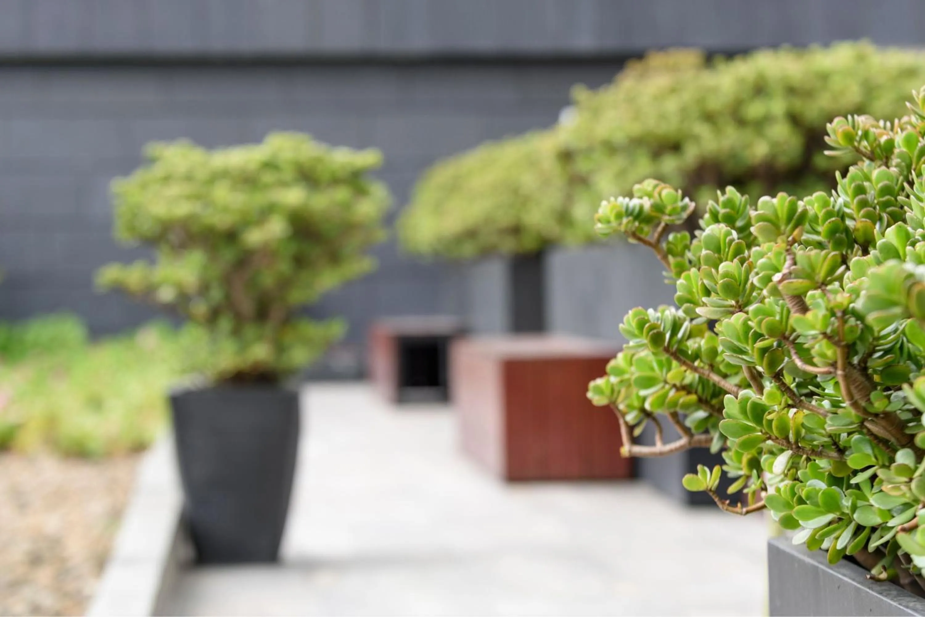 View (from property/room) in City Express Plus by Marriott Bogota Aeropuerto