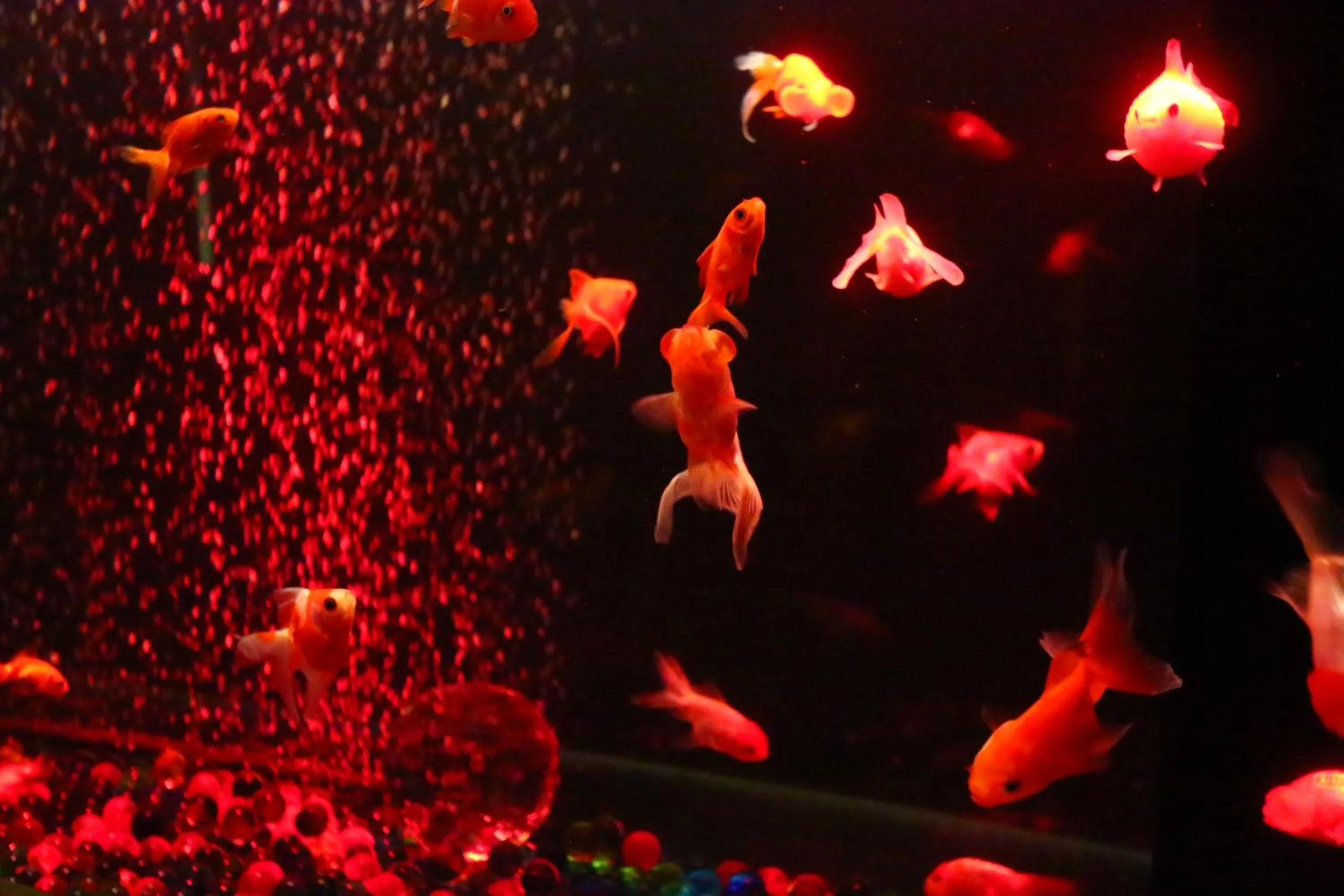 Decorative detail in Uedaya