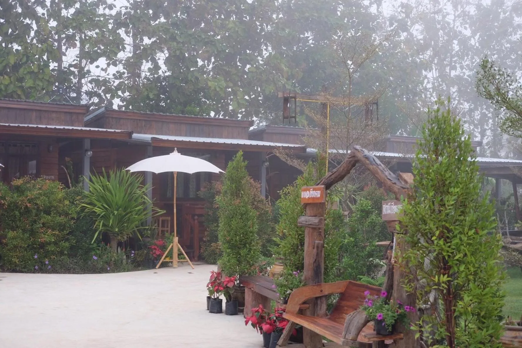 Garden view in JJ at Chiangkhan