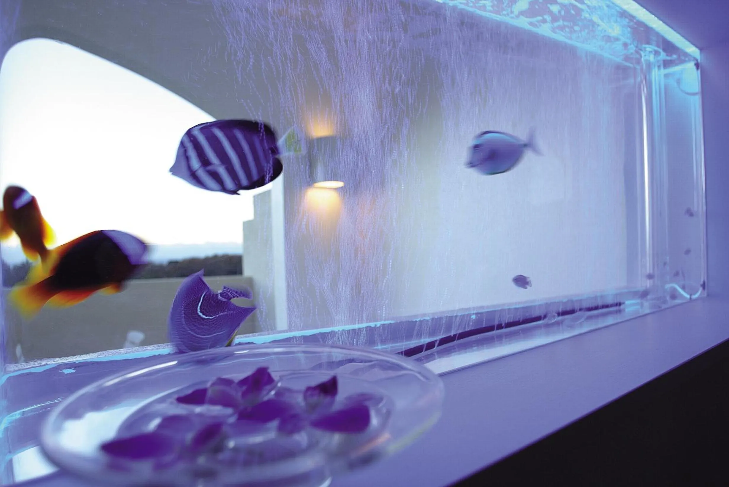 Resort Hotel Corte Largo Izu Kogen