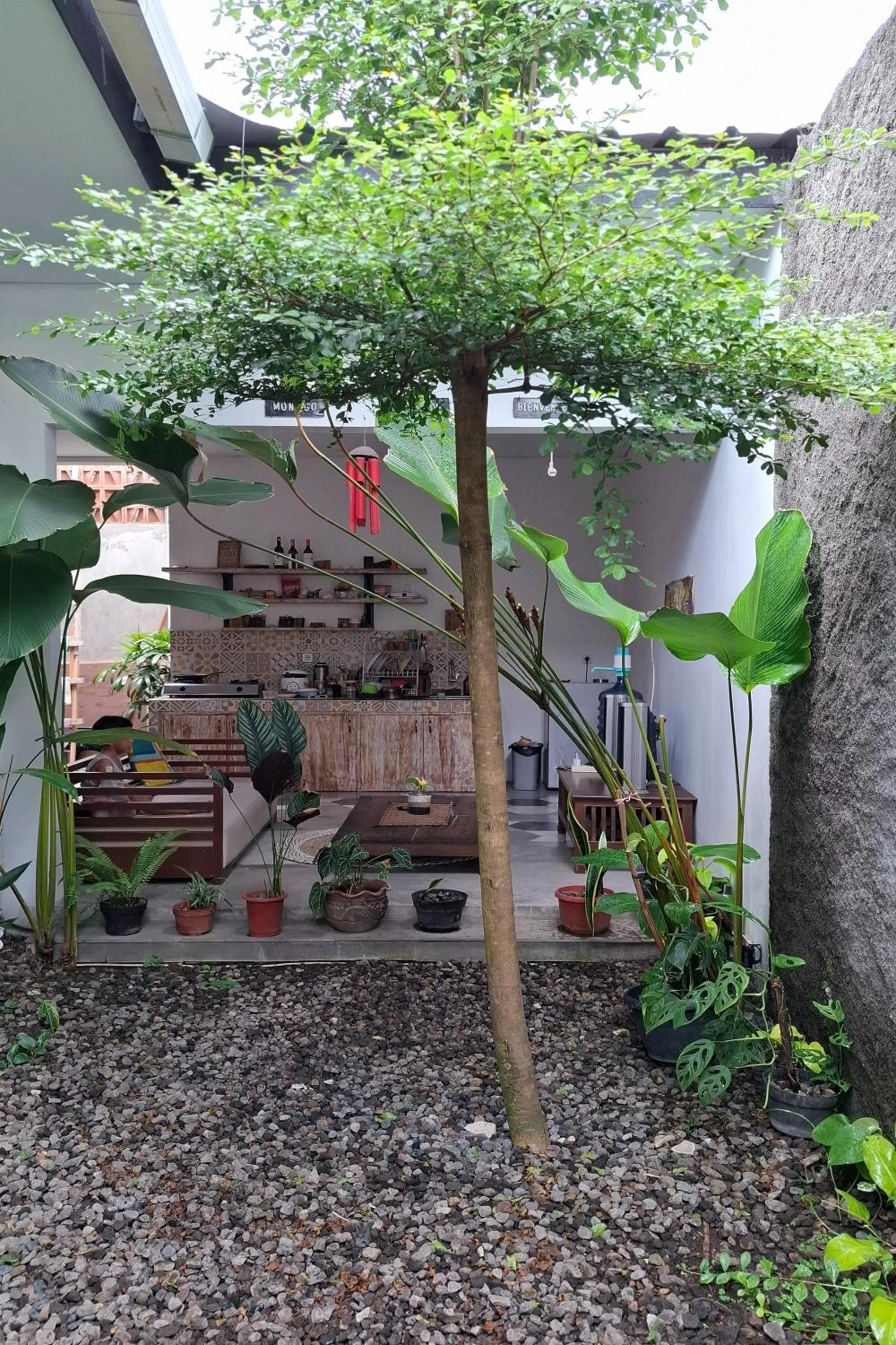 Garden in Bring In House Yogyakarta