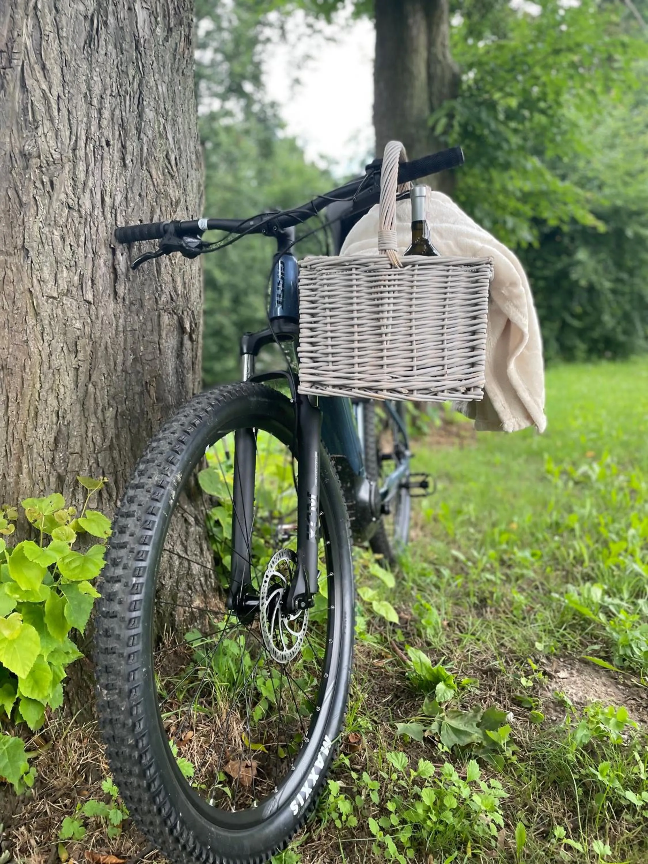 Garden in Hotel Dwór Fijewo