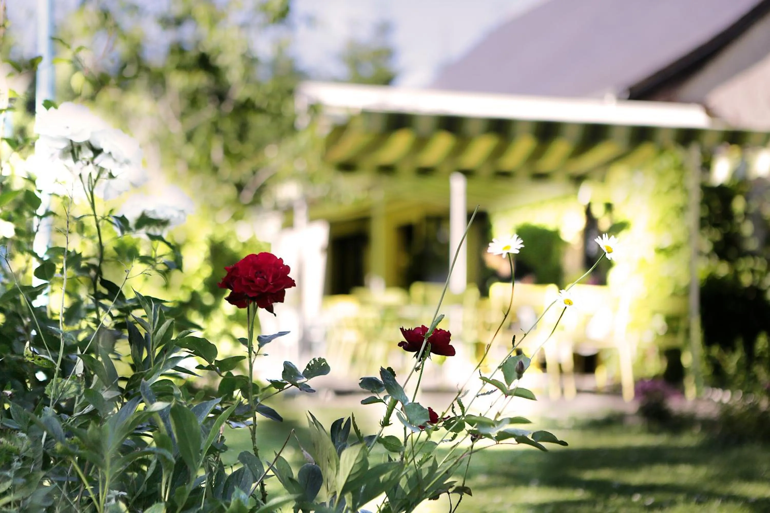 Garden in Logis Auberge du Barrez