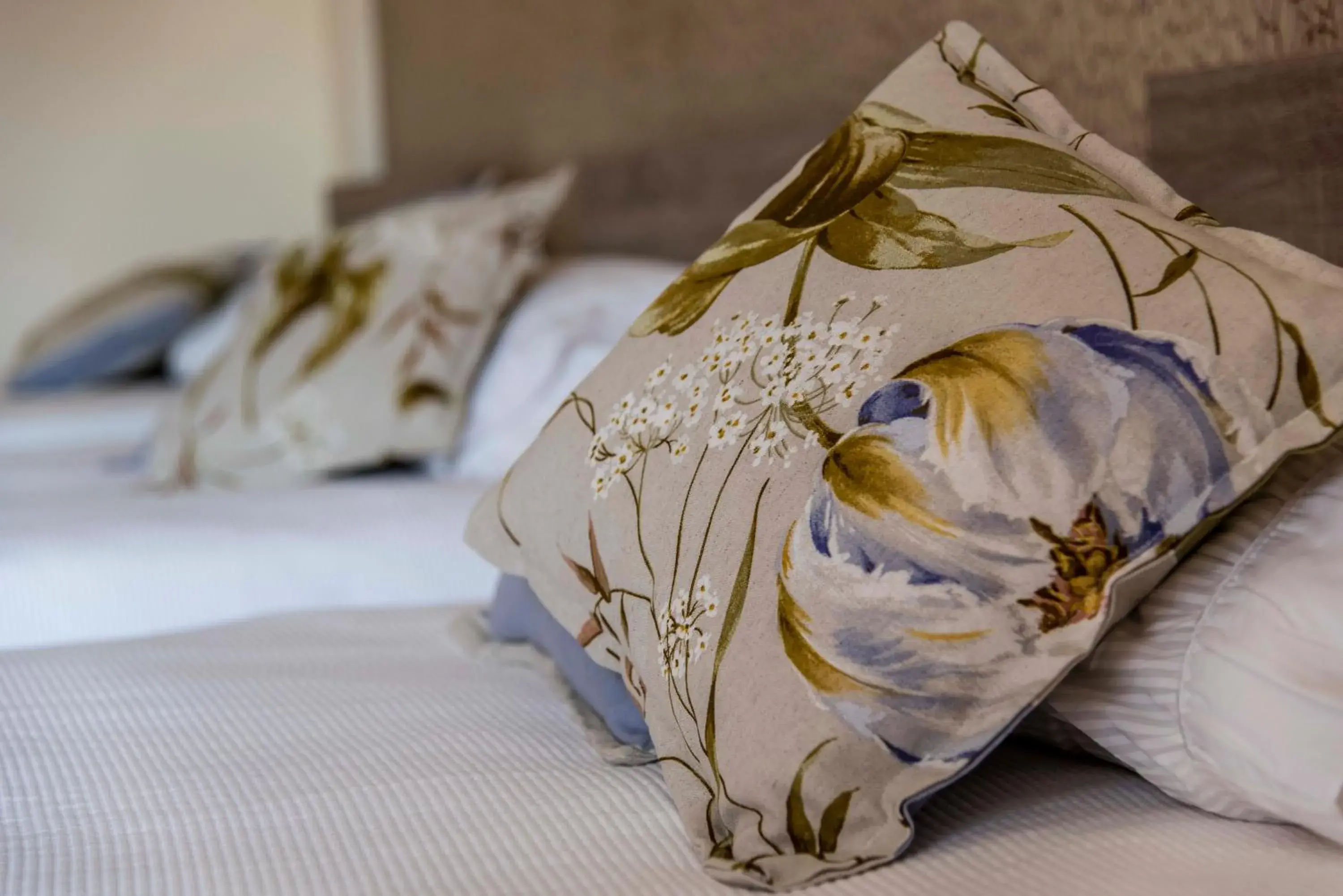 Standard Family Room in Asamina Boutique Hotel Standard Family Room in Asamina Boutique Hotel