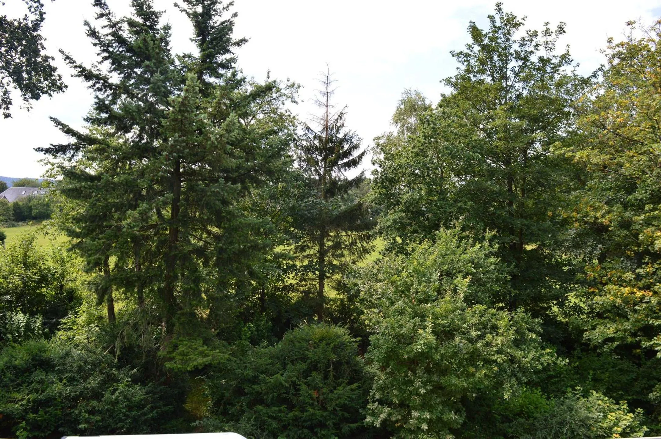 Natural landscape in Hotel La Heid des Pairs