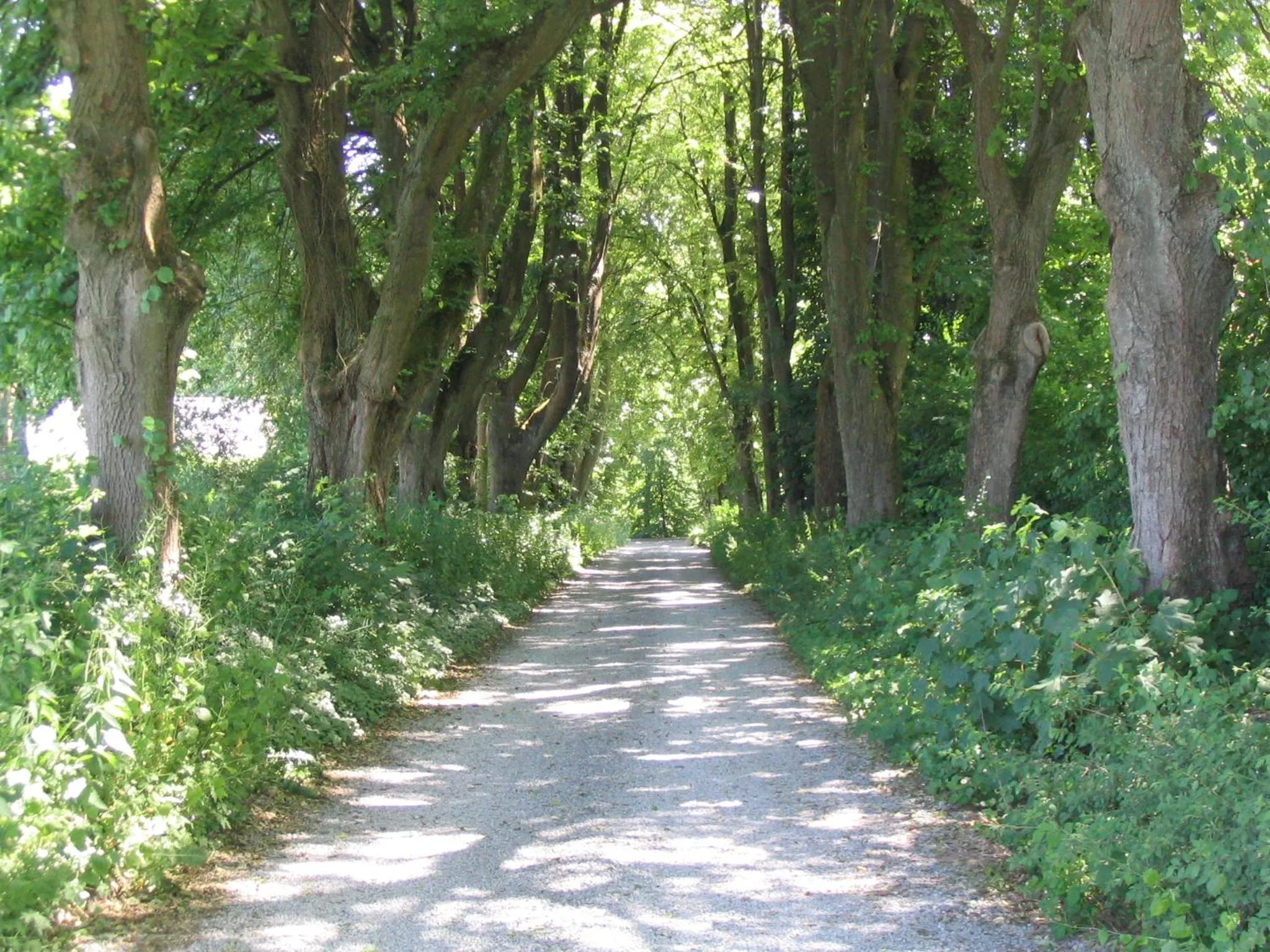 Property building in Hotel La Heid des Pairs