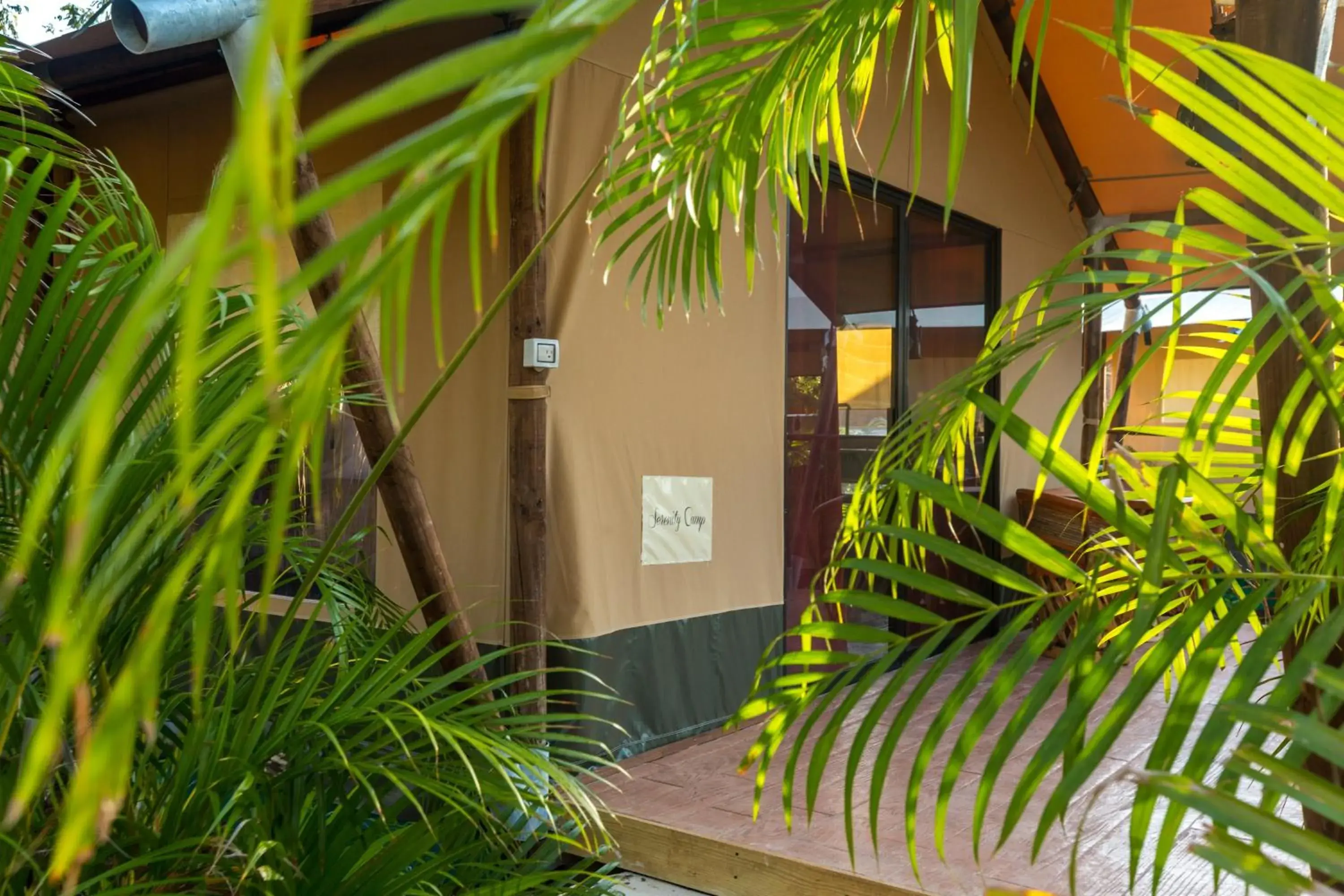 View (from property/room) in Serenity Authentic Glamping Tulum View (from property/room) in Serenity Authentic Glamping Tulum