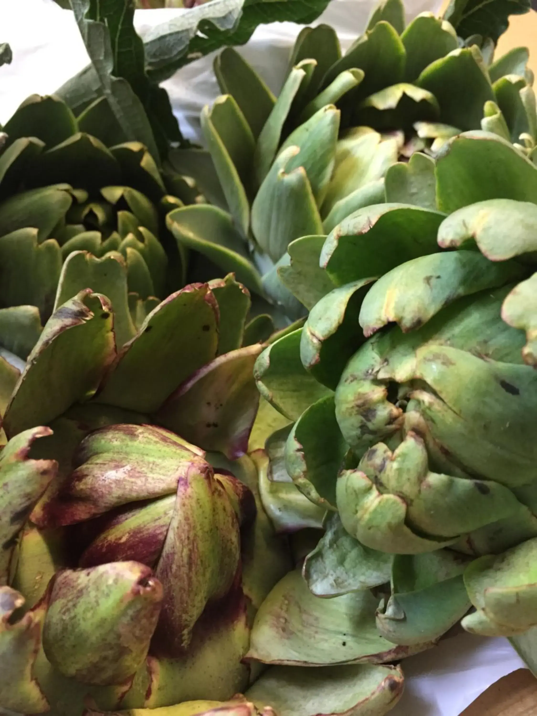 Restaurant/places to eat in il Regalo イルレガーロ Restaurant/places to eat in il Regalo イルレガーロ