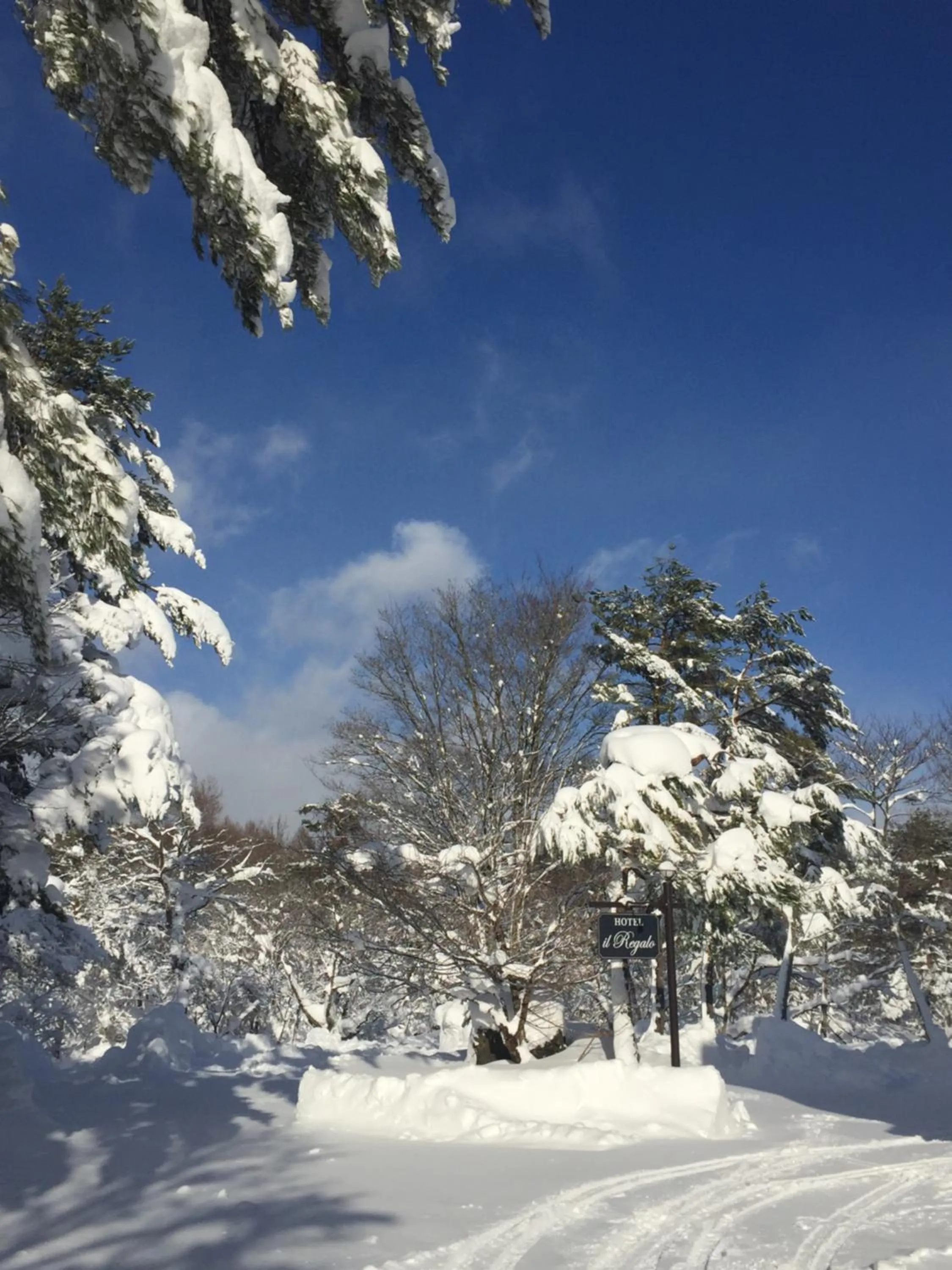 Off site in il Regalo イルレガーロ