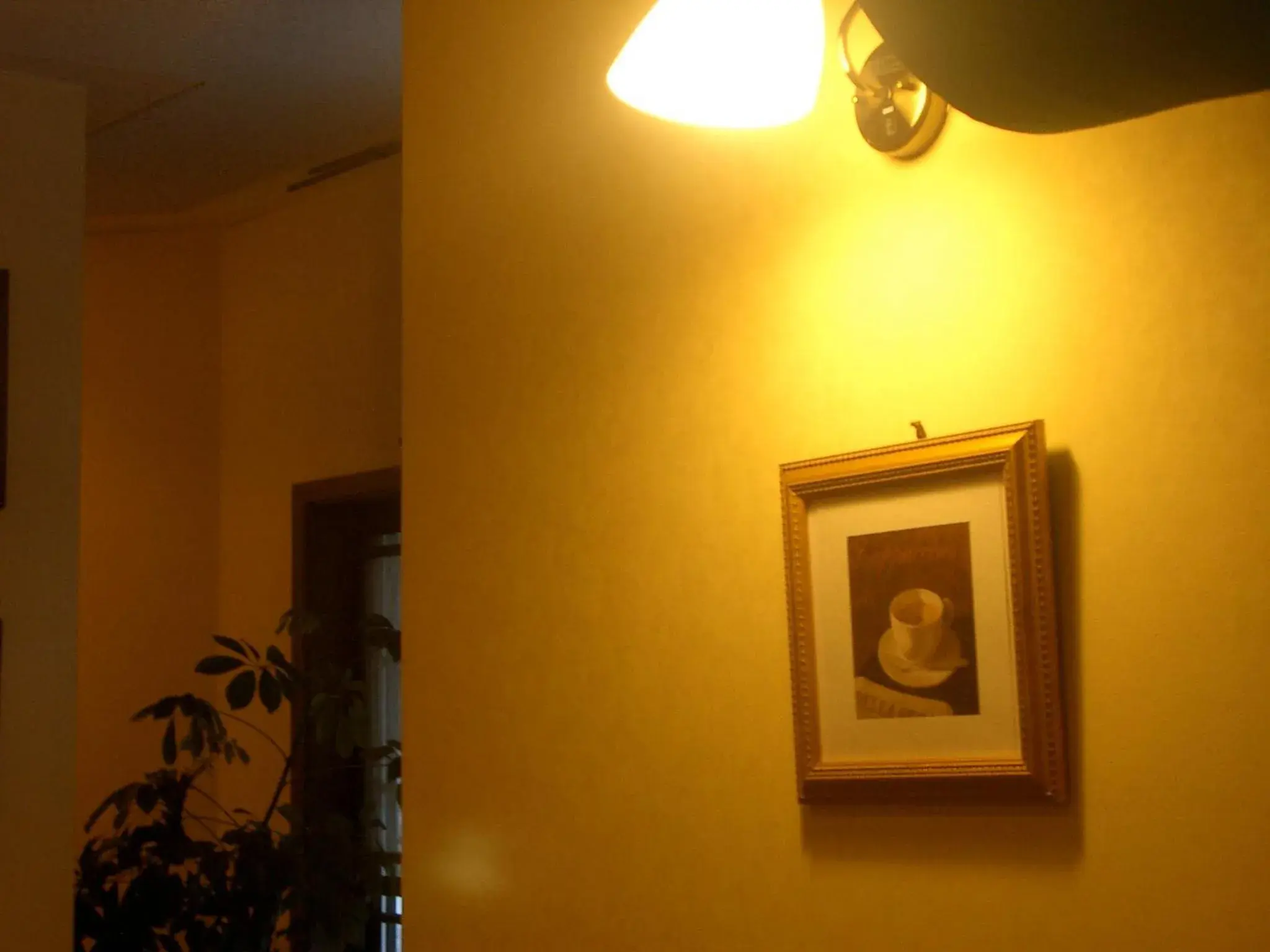 Restaurant/places to eat in il Regalo イルレガーロ Restaurant/places to eat in il Regalo イルレガーロ