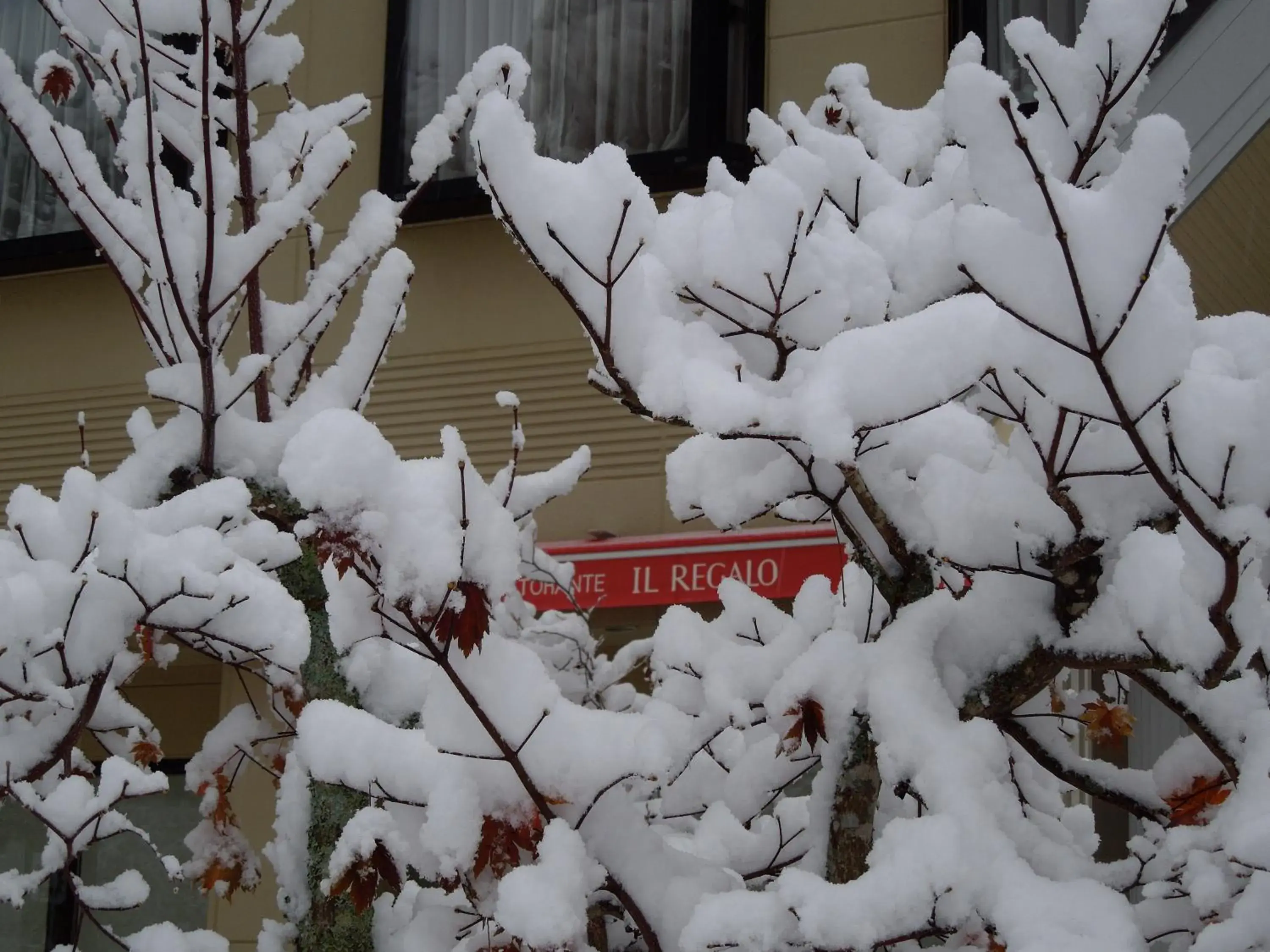 Property building in il Regalo イルレガーロ Property building in il Regalo イルレガーロ