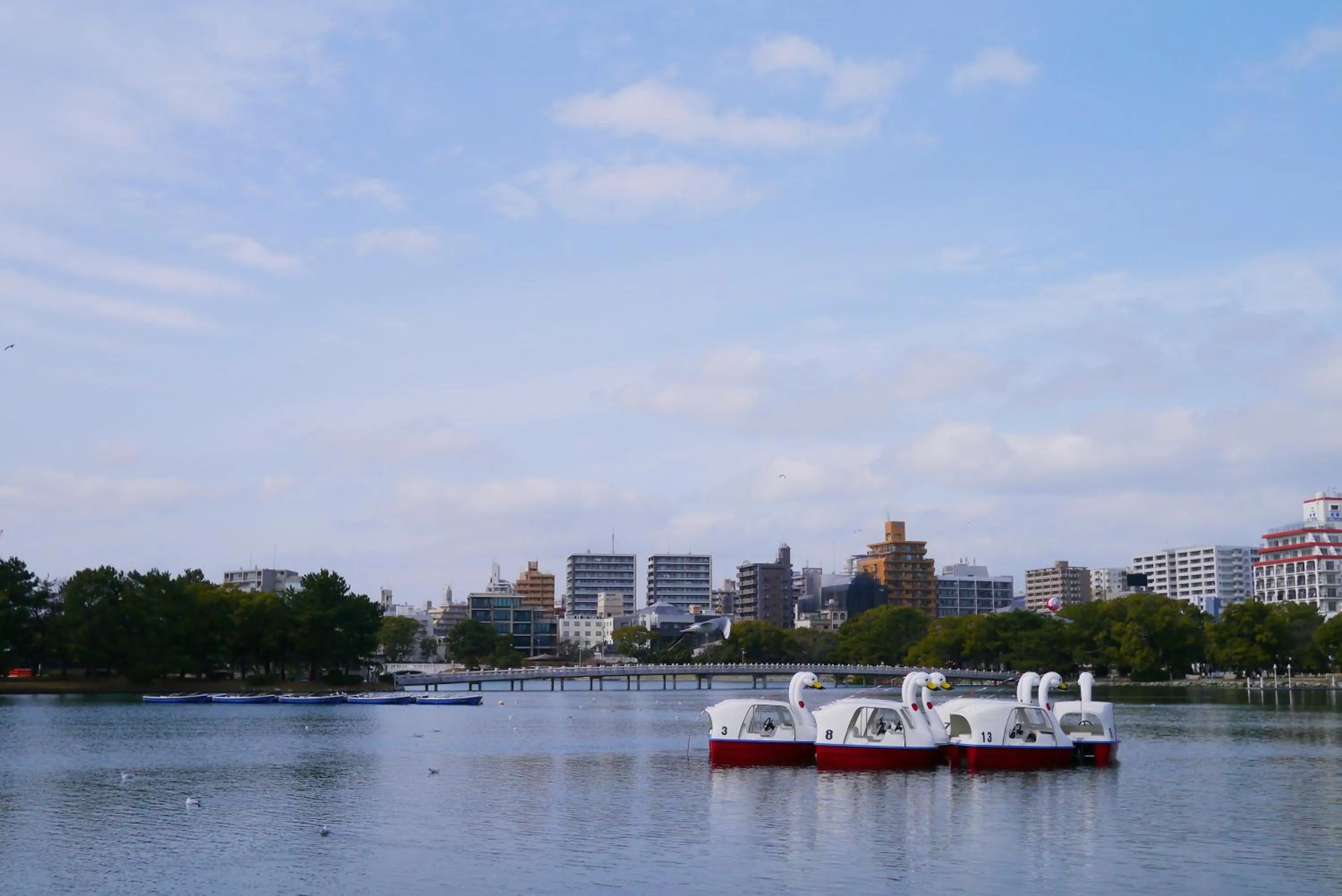 Nearby landmark in Hotel New Gaea Domemae