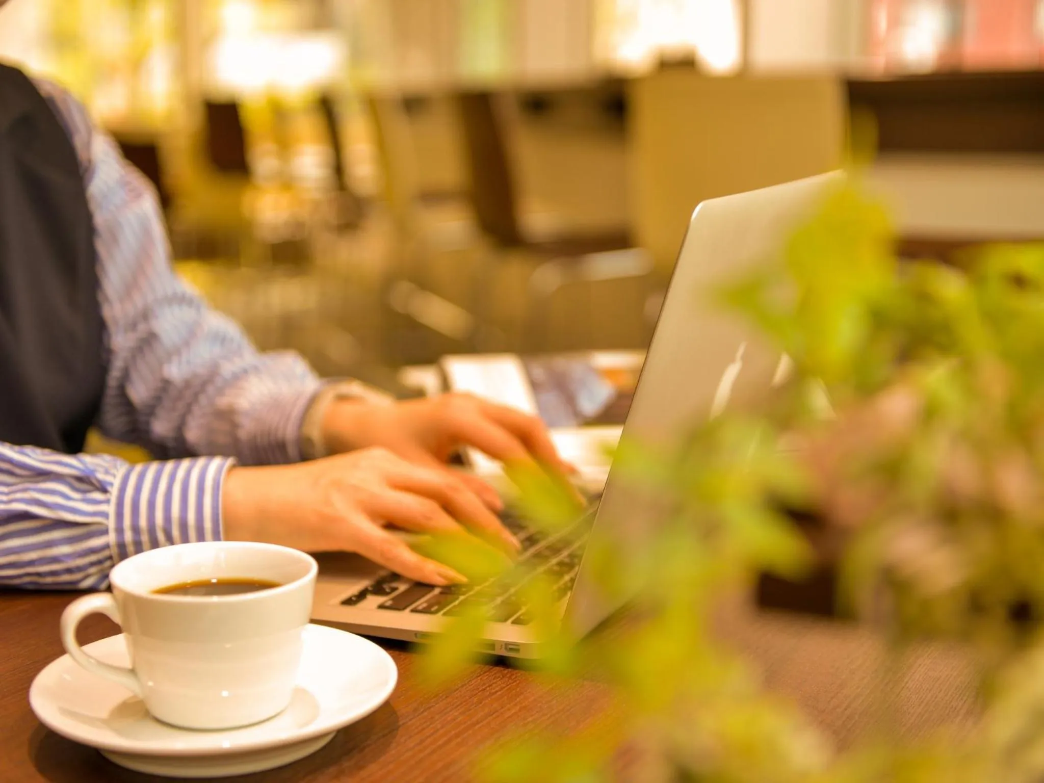 Communal lounge/ TV room in Hotel New Gaea Domemae
