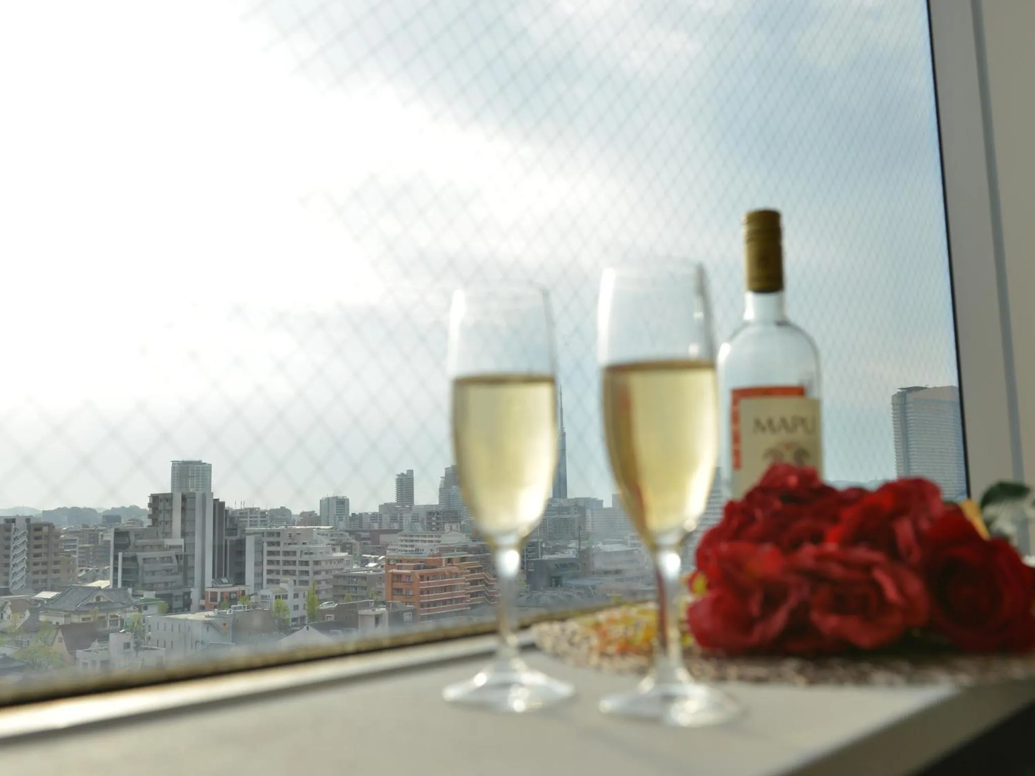 Photo of the whole room in Hotel New Gaea Domemae