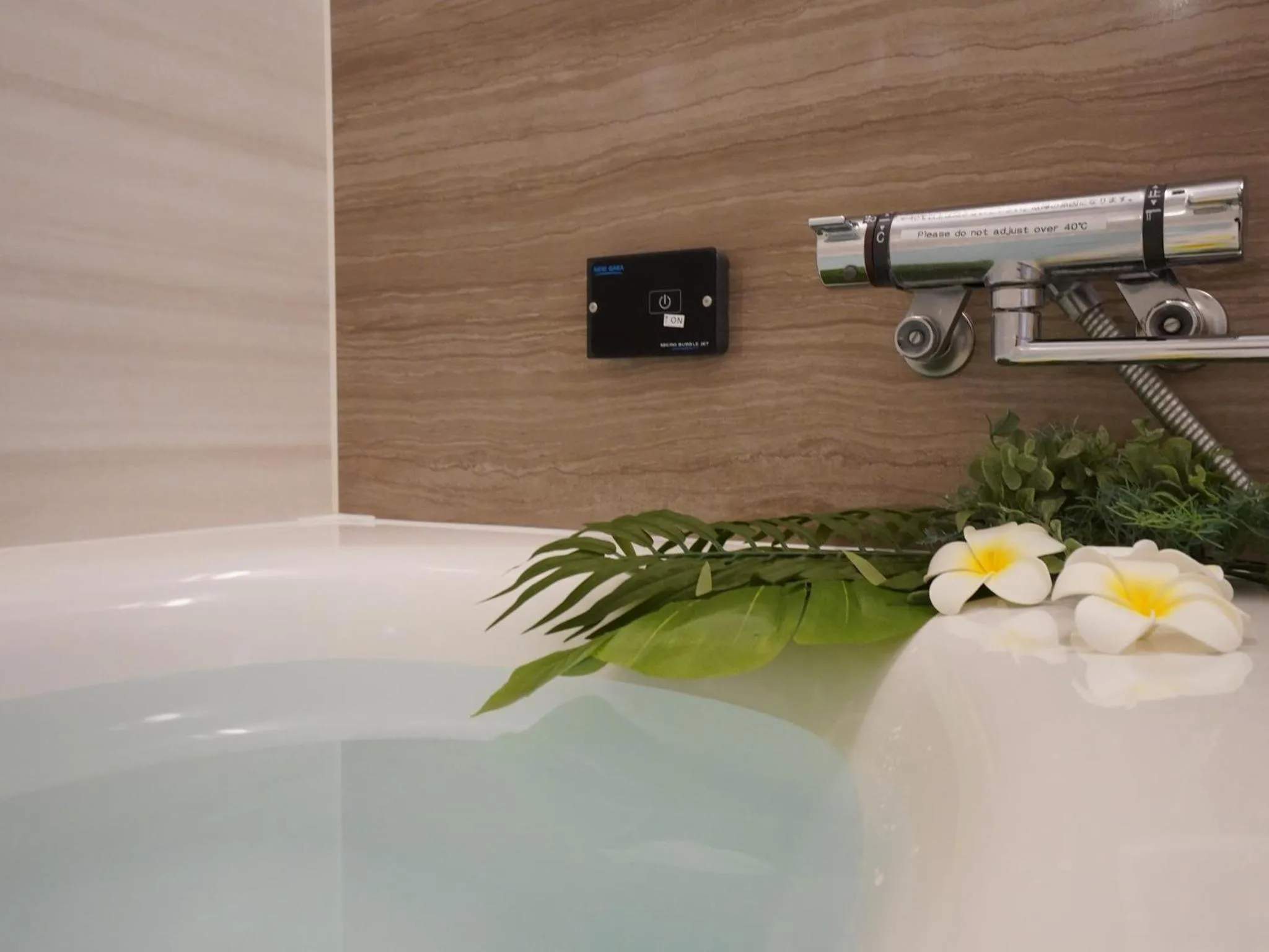 Photo of the whole room in Hotel New Gaea Domemae