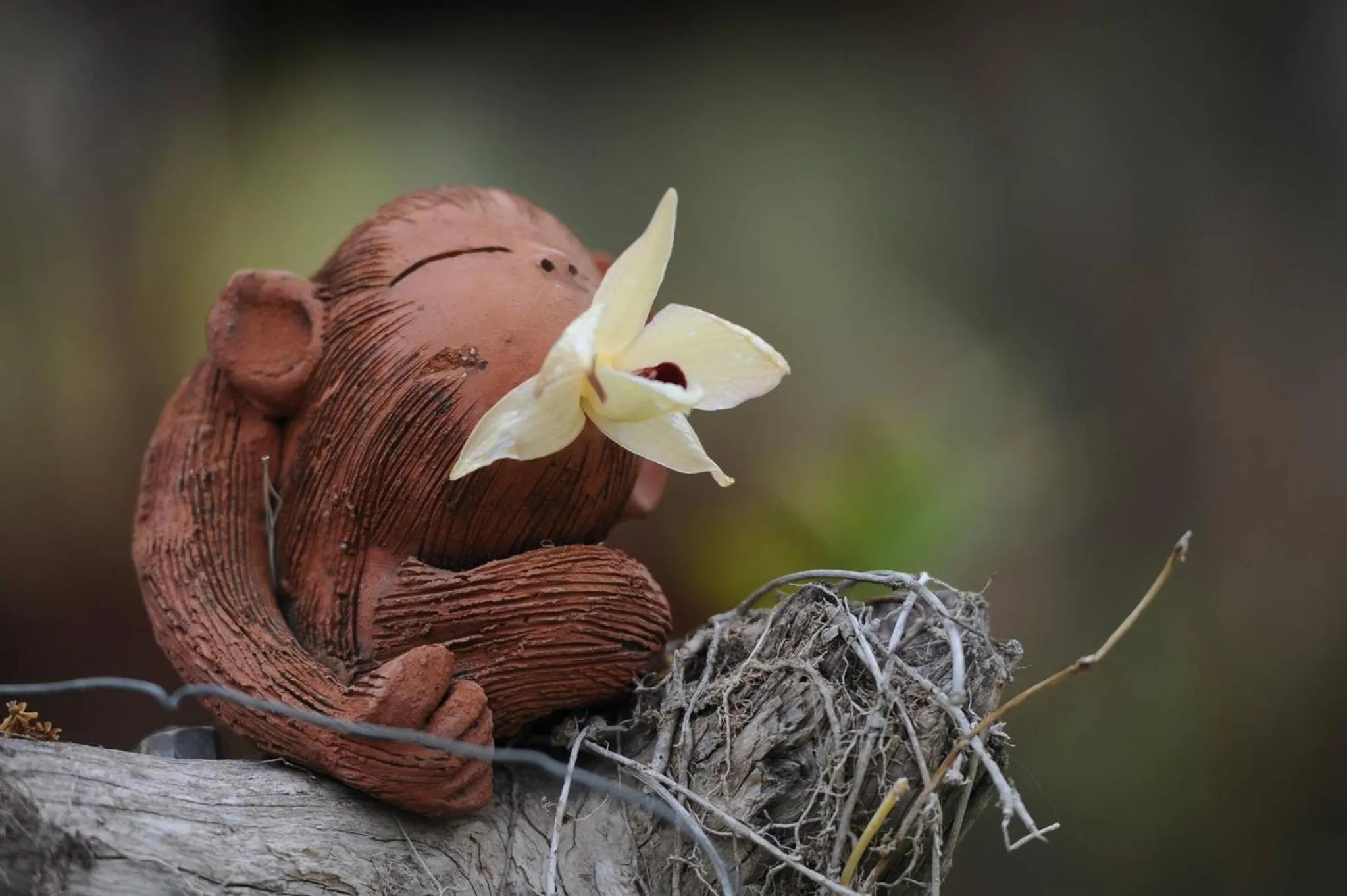 Other in Chuanthanapanya Resort