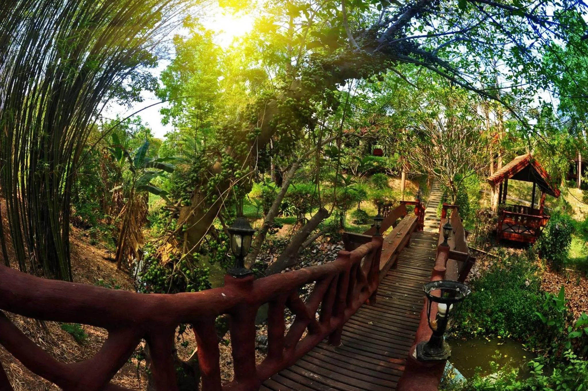 Garden in Chuanthanapanya Resort