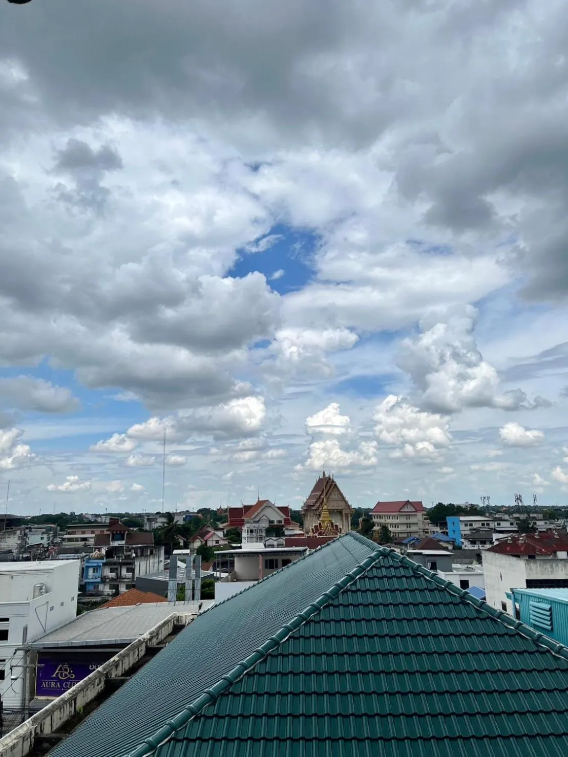 City view in Wesahh Homeplace