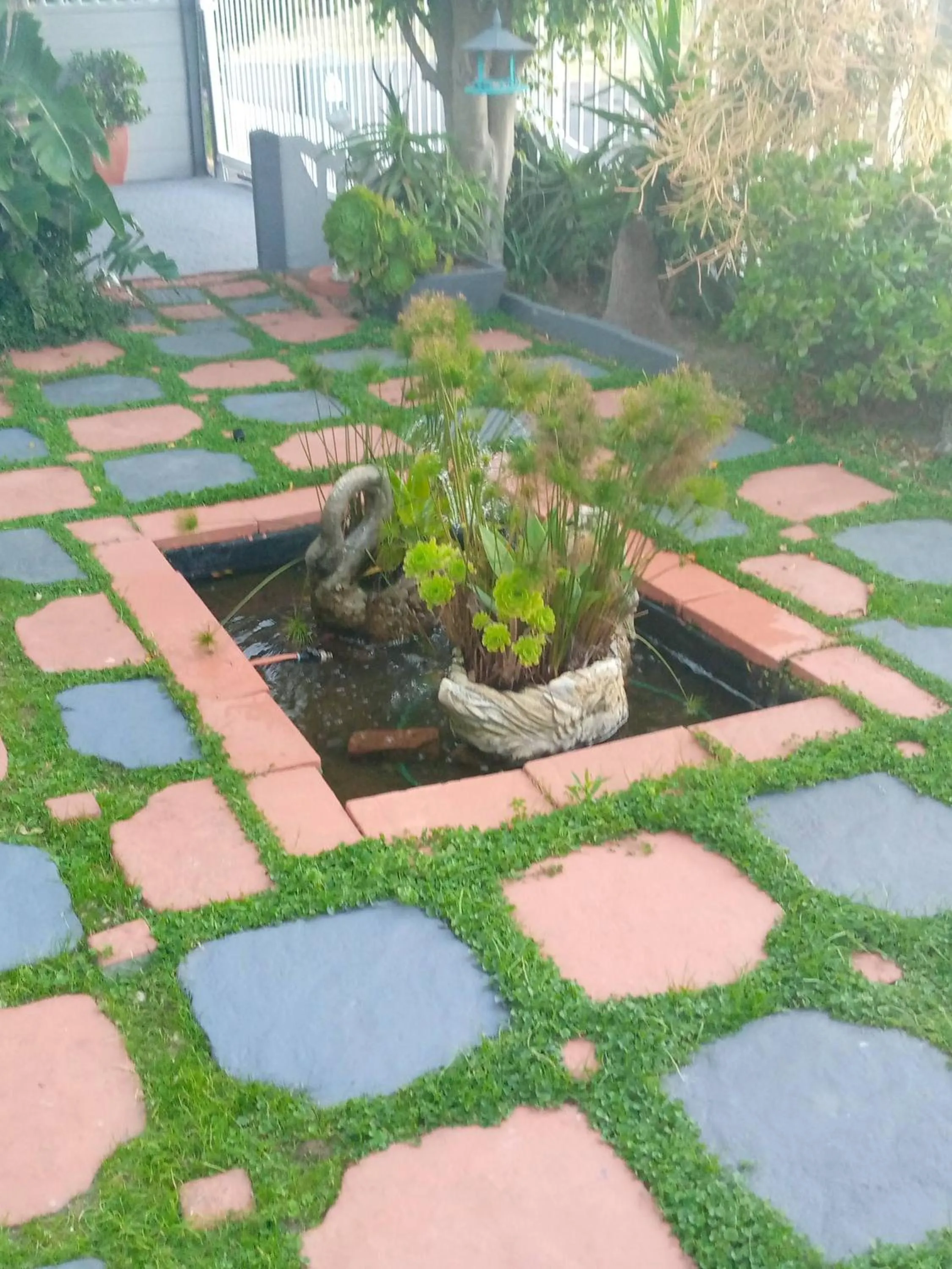 Garden in Mitchell's Guesthouse