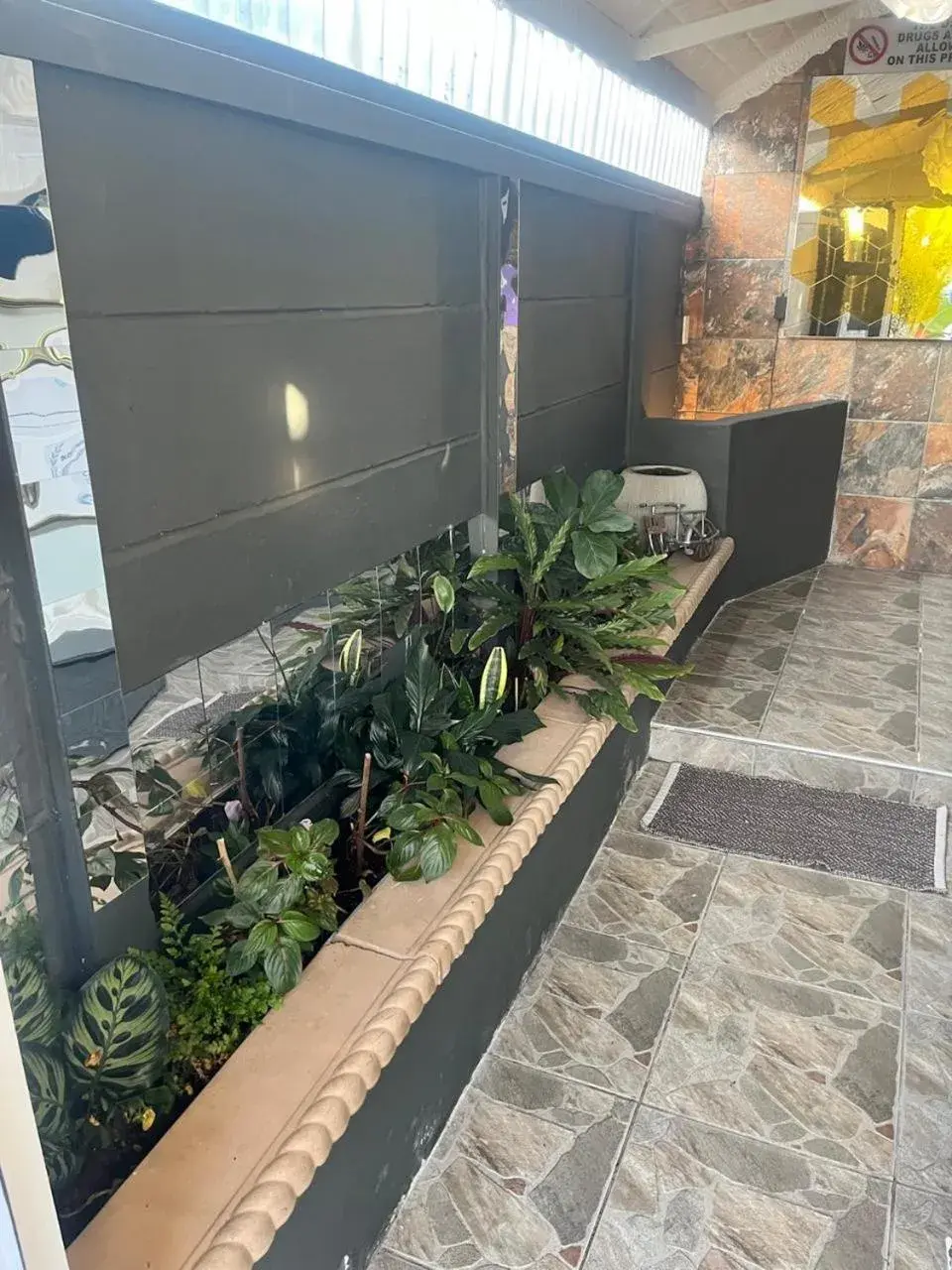 Facade/entrance in Mitchell's Guesthouse Facade/entrance in Mitchell's Guesthouse