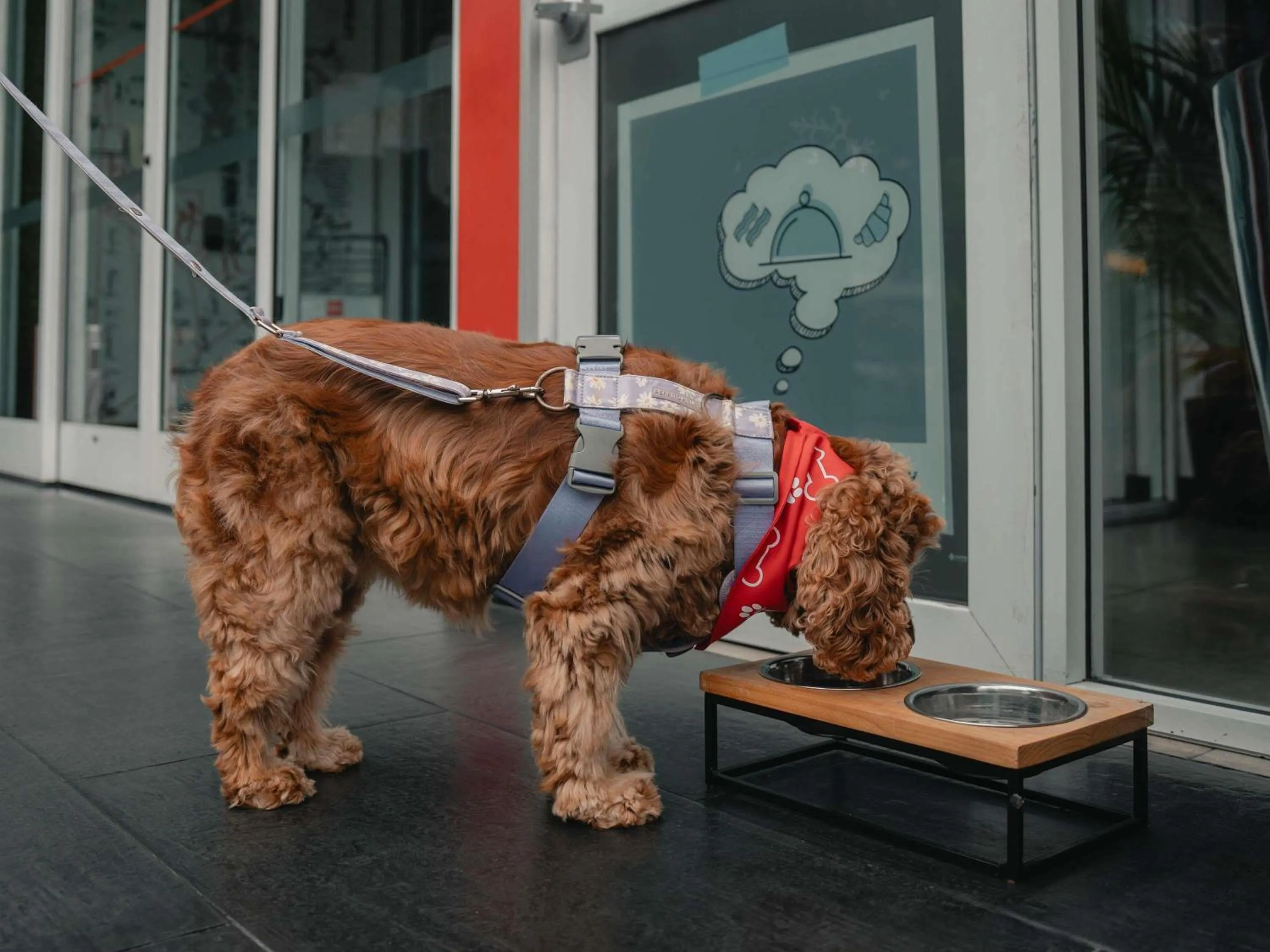 Other in ibis Lima Reducto Miraflores