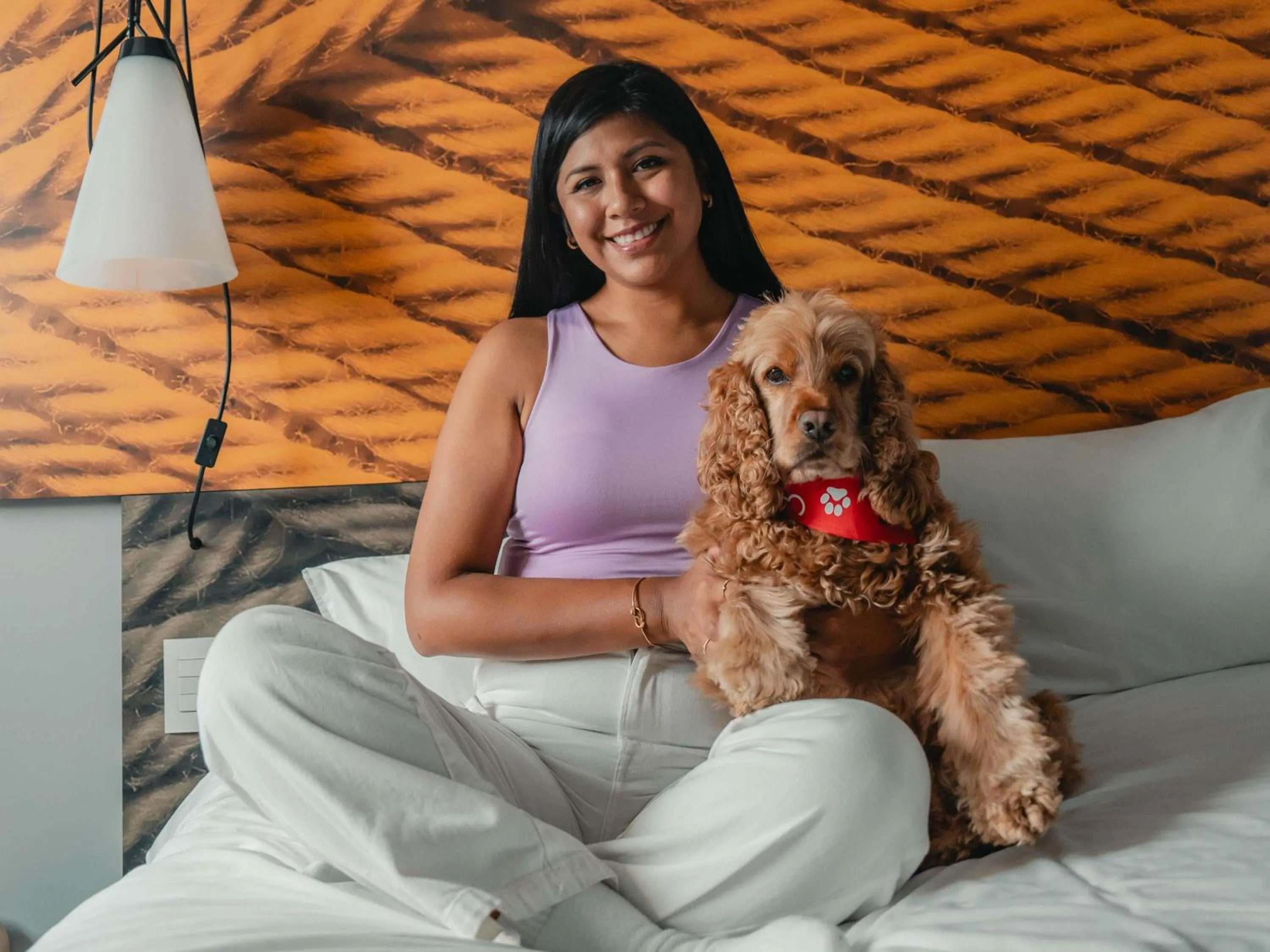 Other in ibis Lima Reducto Miraflores