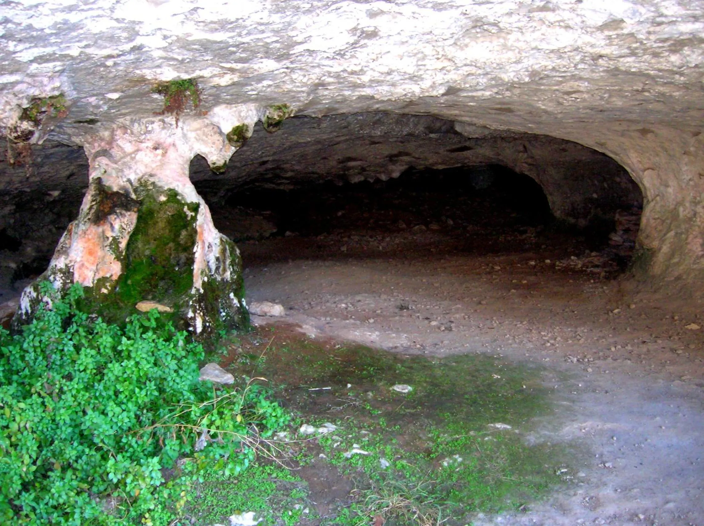 Nearby landmark in Brojo Hill