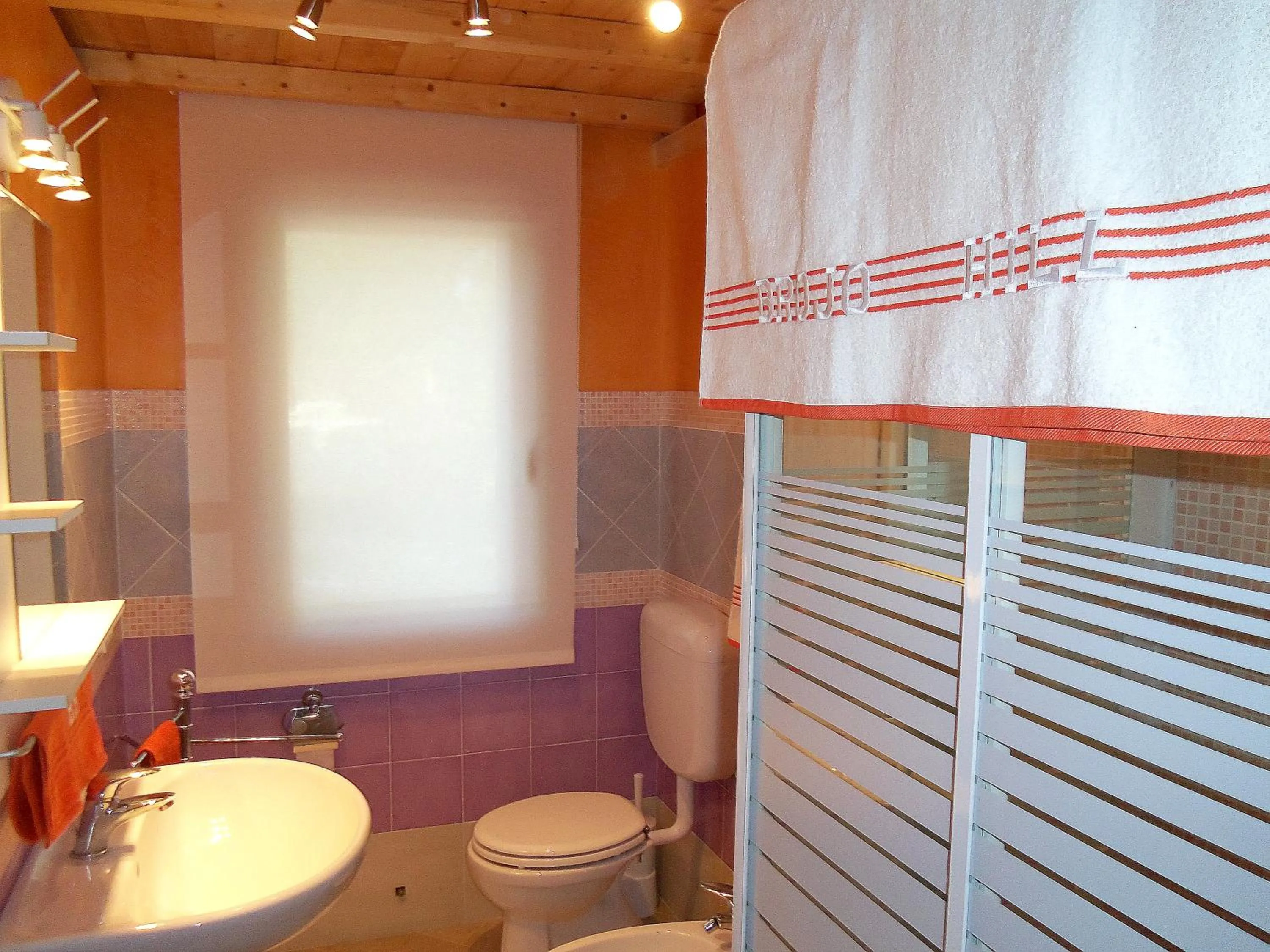 Bathroom in Brojo Hill