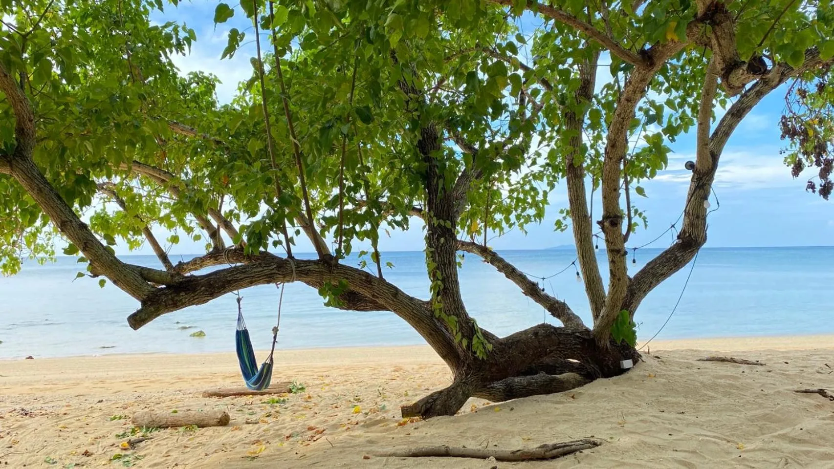 Beach in Koh Ngai Paradise Beach