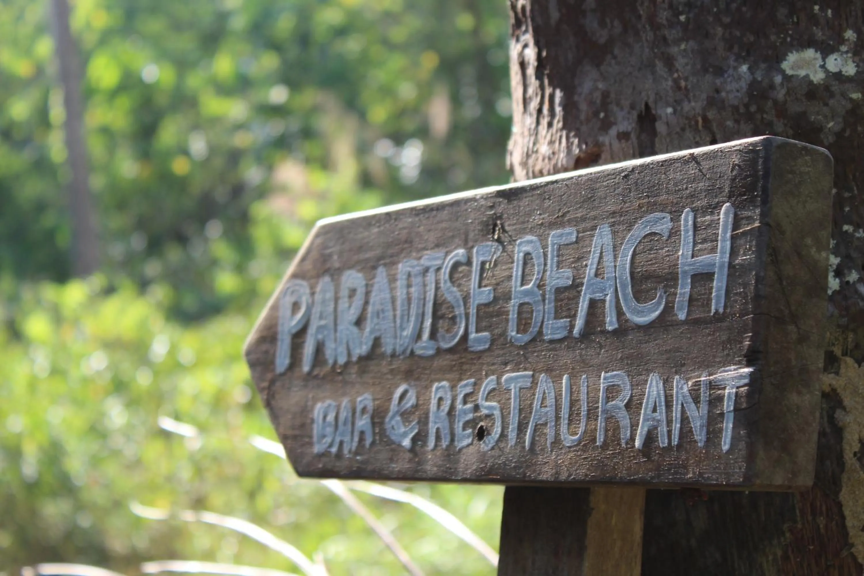 Logo/Certificate/Sign in Koh Ngai Paradise Beach