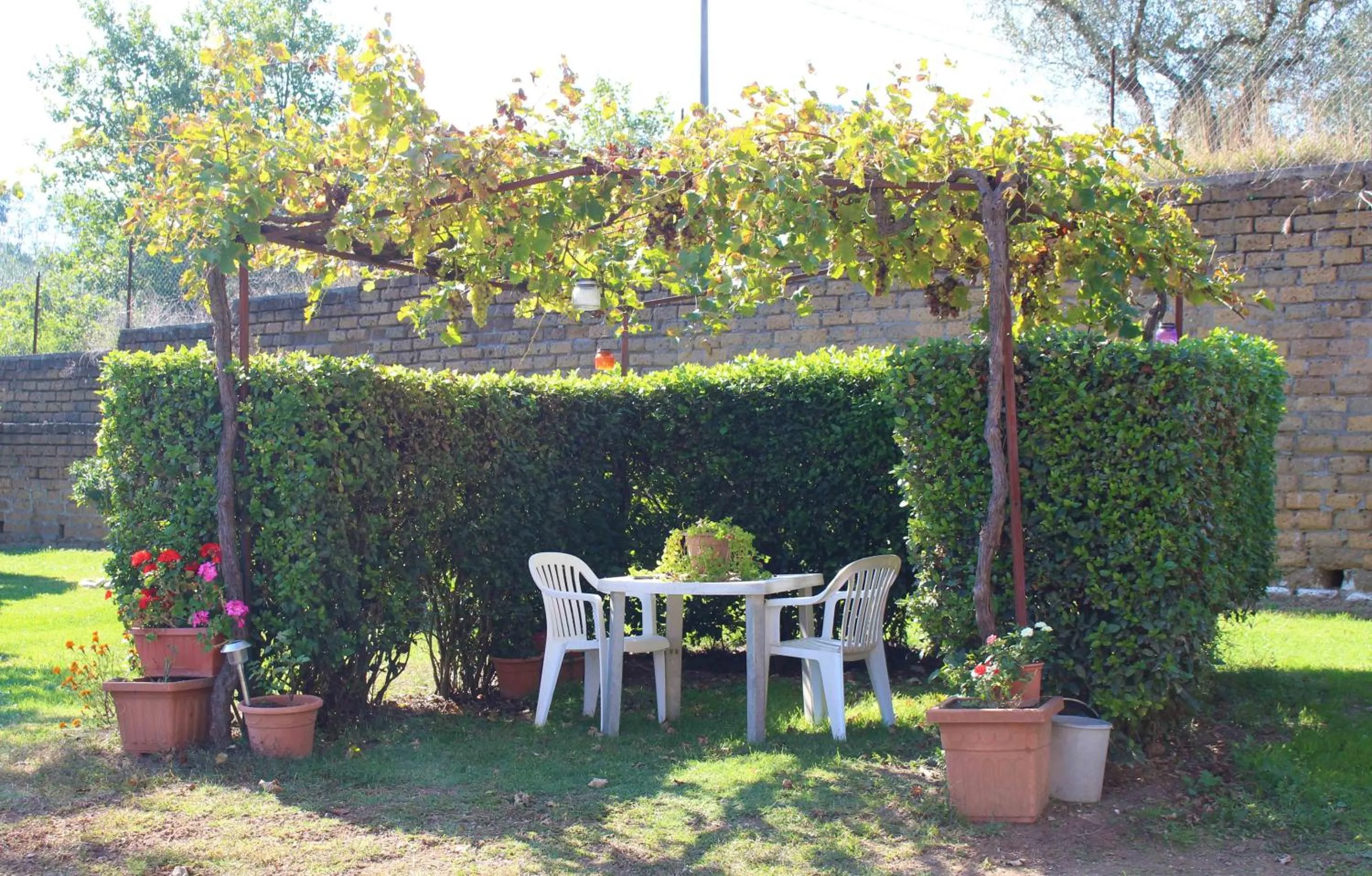 Garden in Il Roseto di Daniela