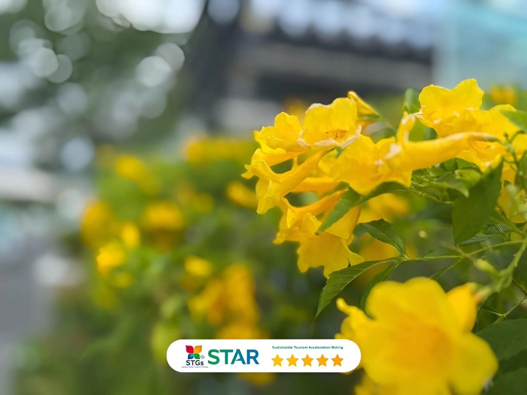 Day in Clarian Hotel Beach Patong