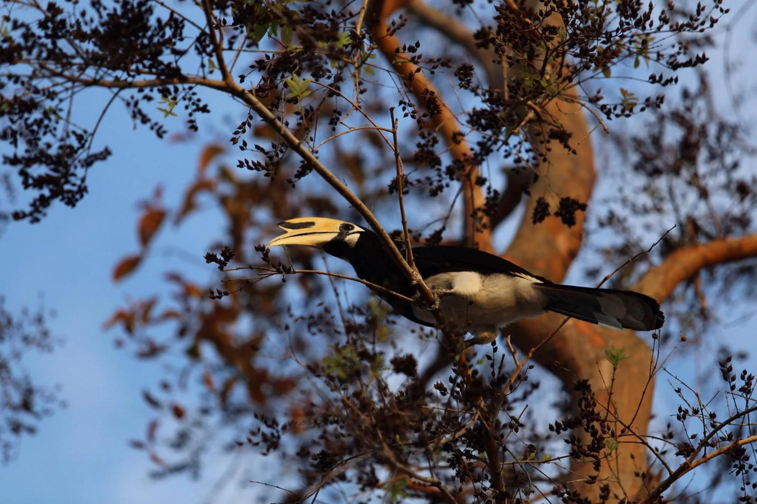 Natural landscape in Cape Kudu Hotel, Koh Yao Noi