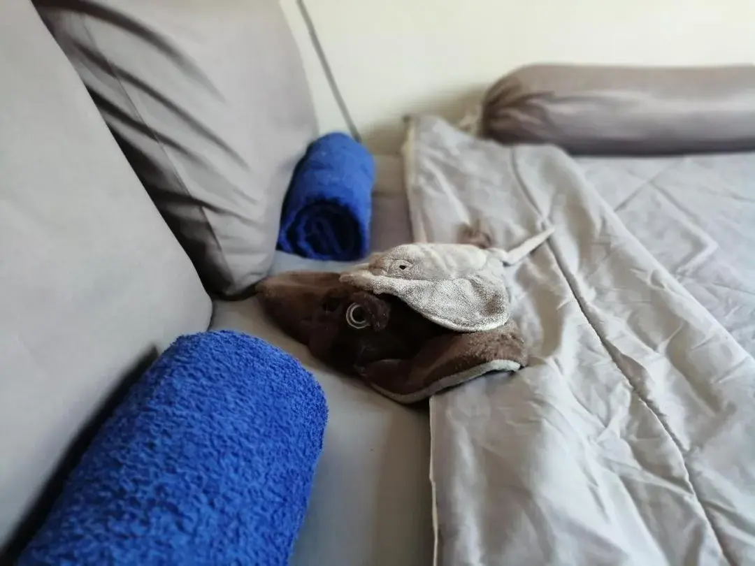 Bed in Paapu House Bed in Paapu House