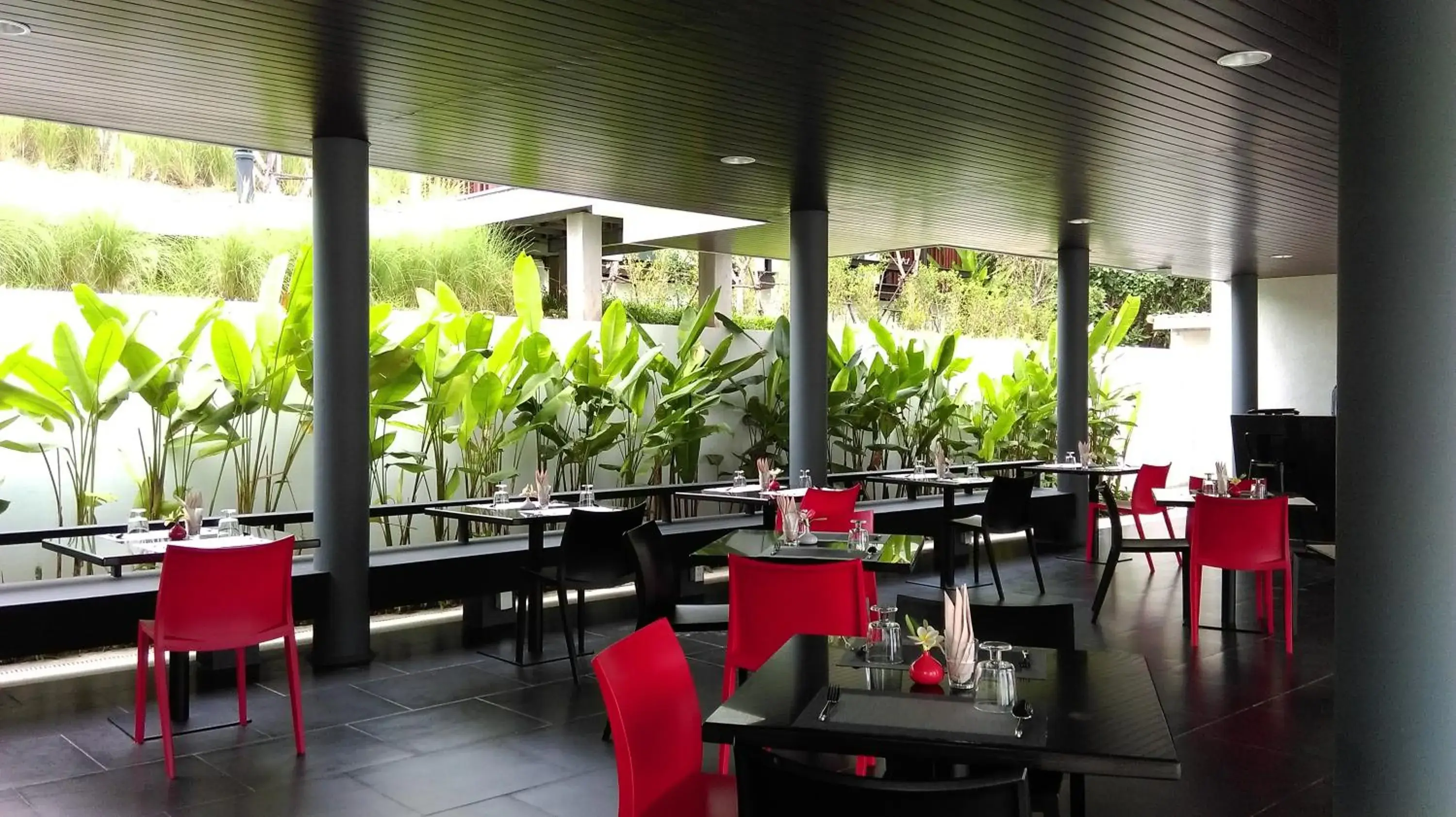Restaurant/places to eat in SEAnery Beach Resort Restaurant/places to eat in SEAnery Beach Resort