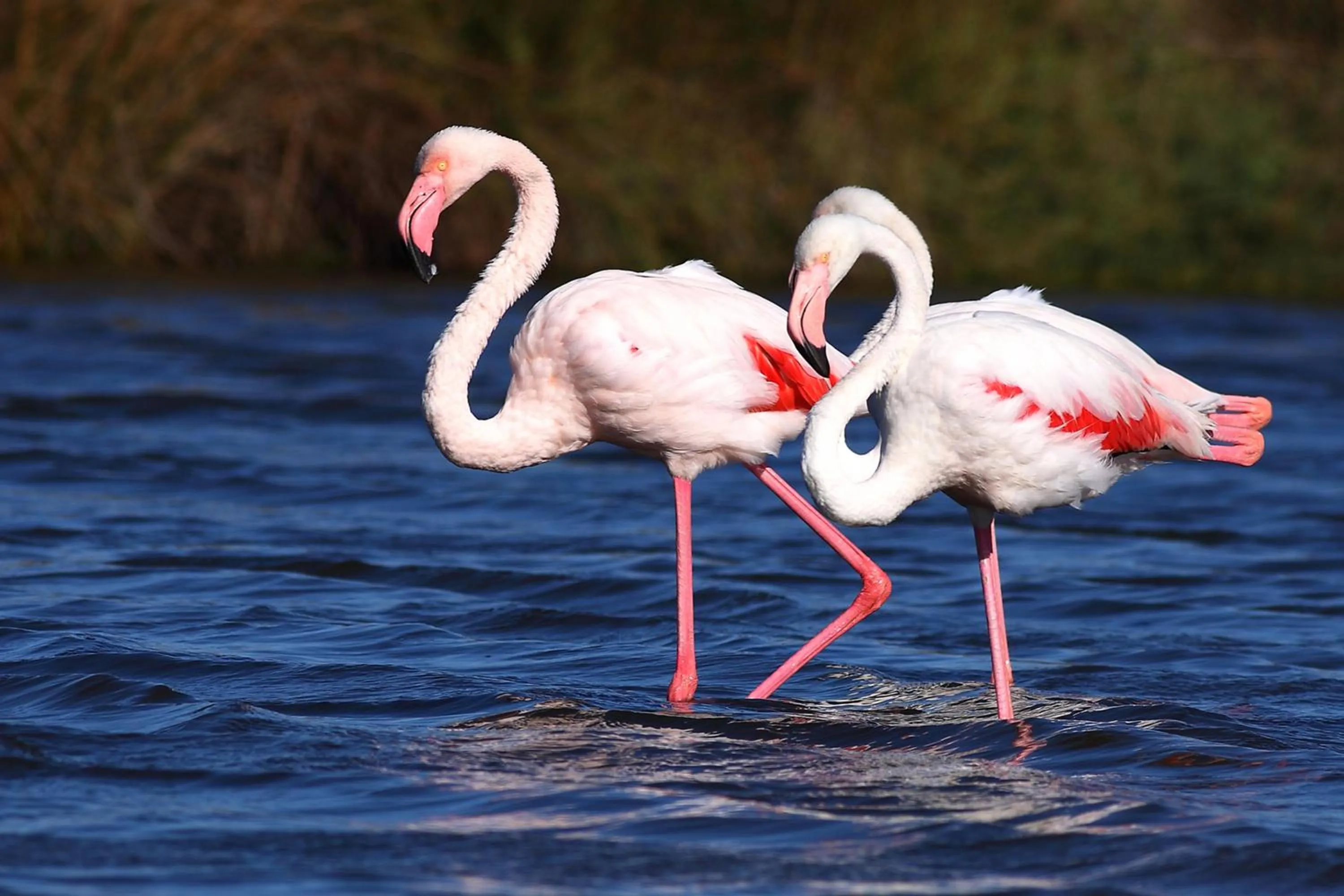 Off site in Hôtel Belle Vue d'Angleterre