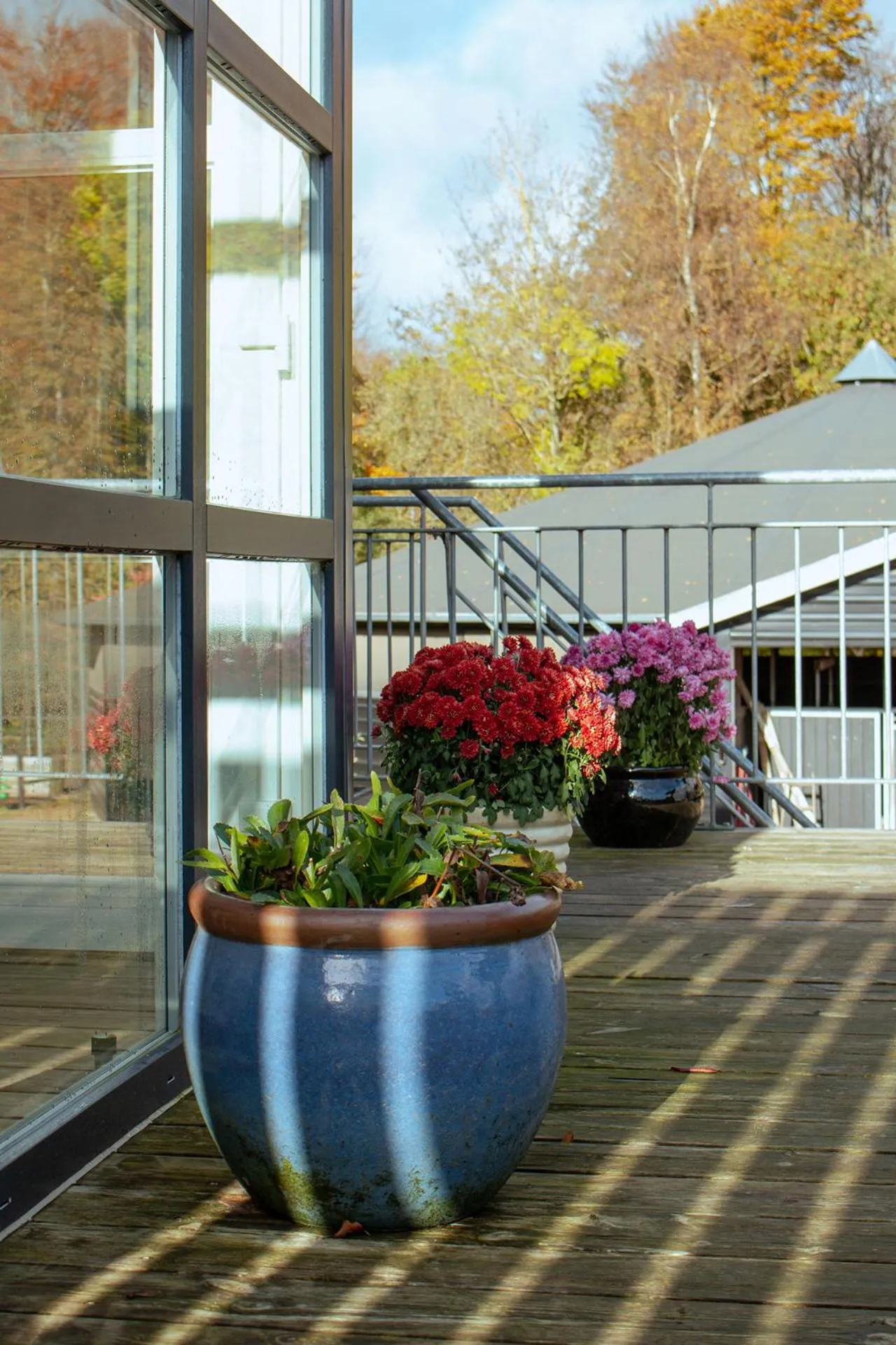 Louiselund Bed & Breakfast