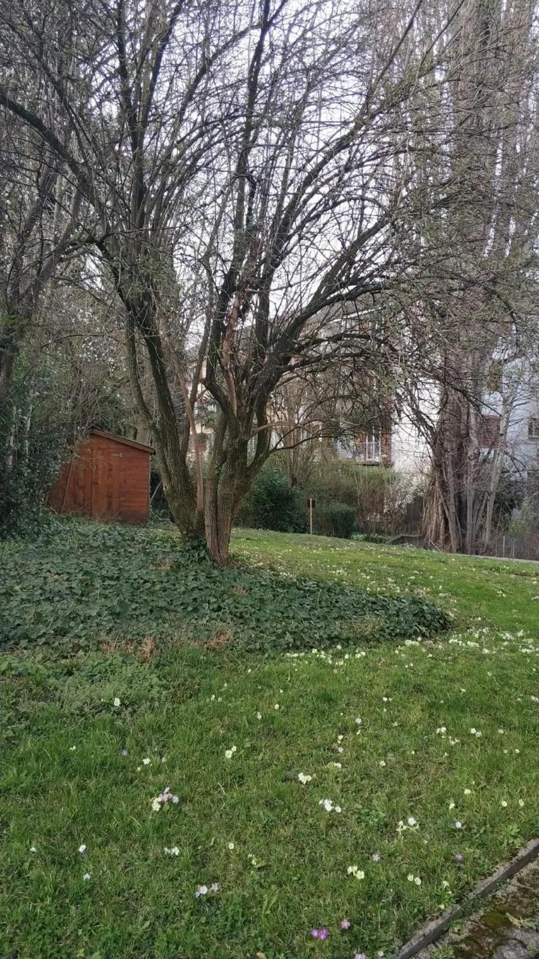 Garden view in Zurich Furnished Apartments