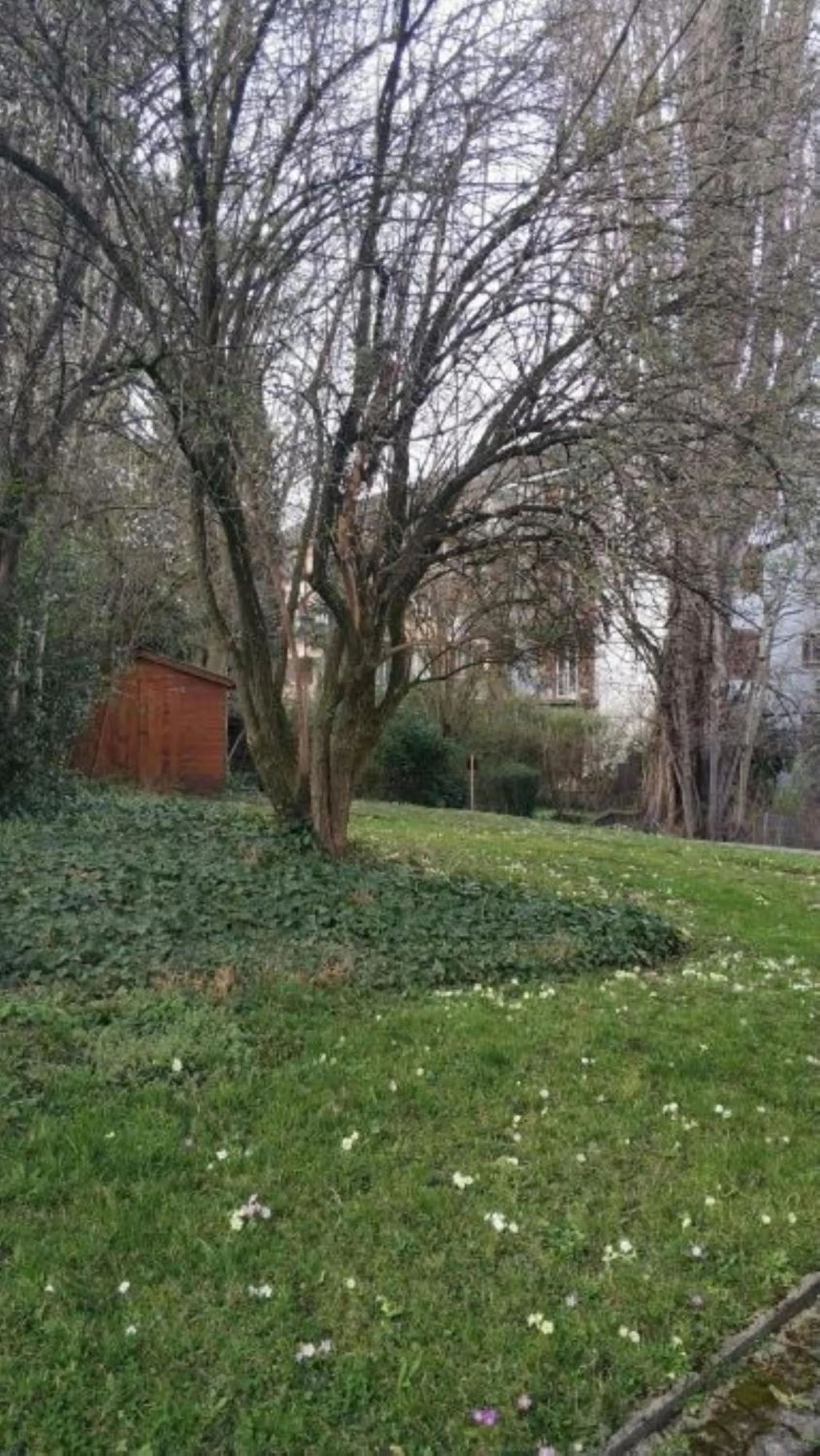 Garden view in Zurich Furnished Apartments