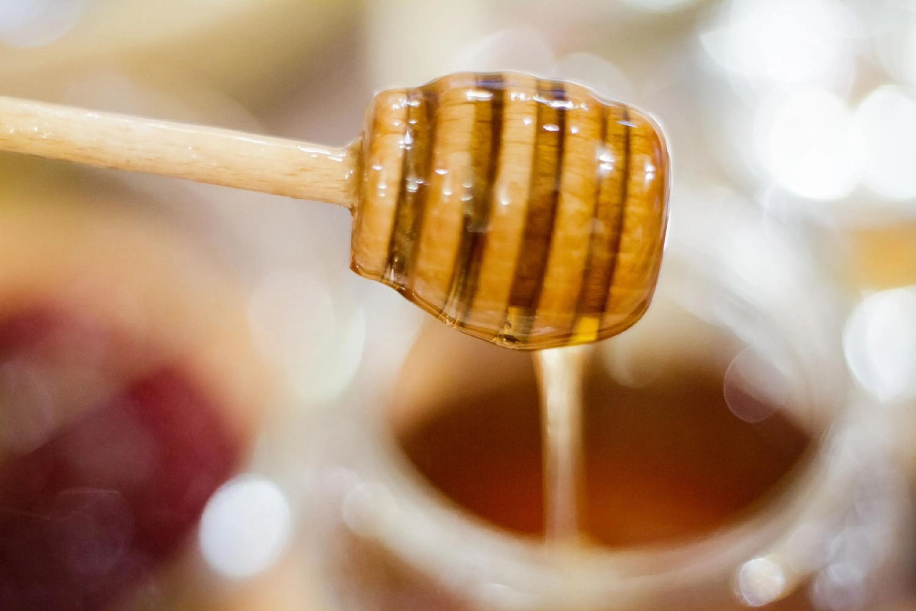 Food and drinks in Hotel Genzianella