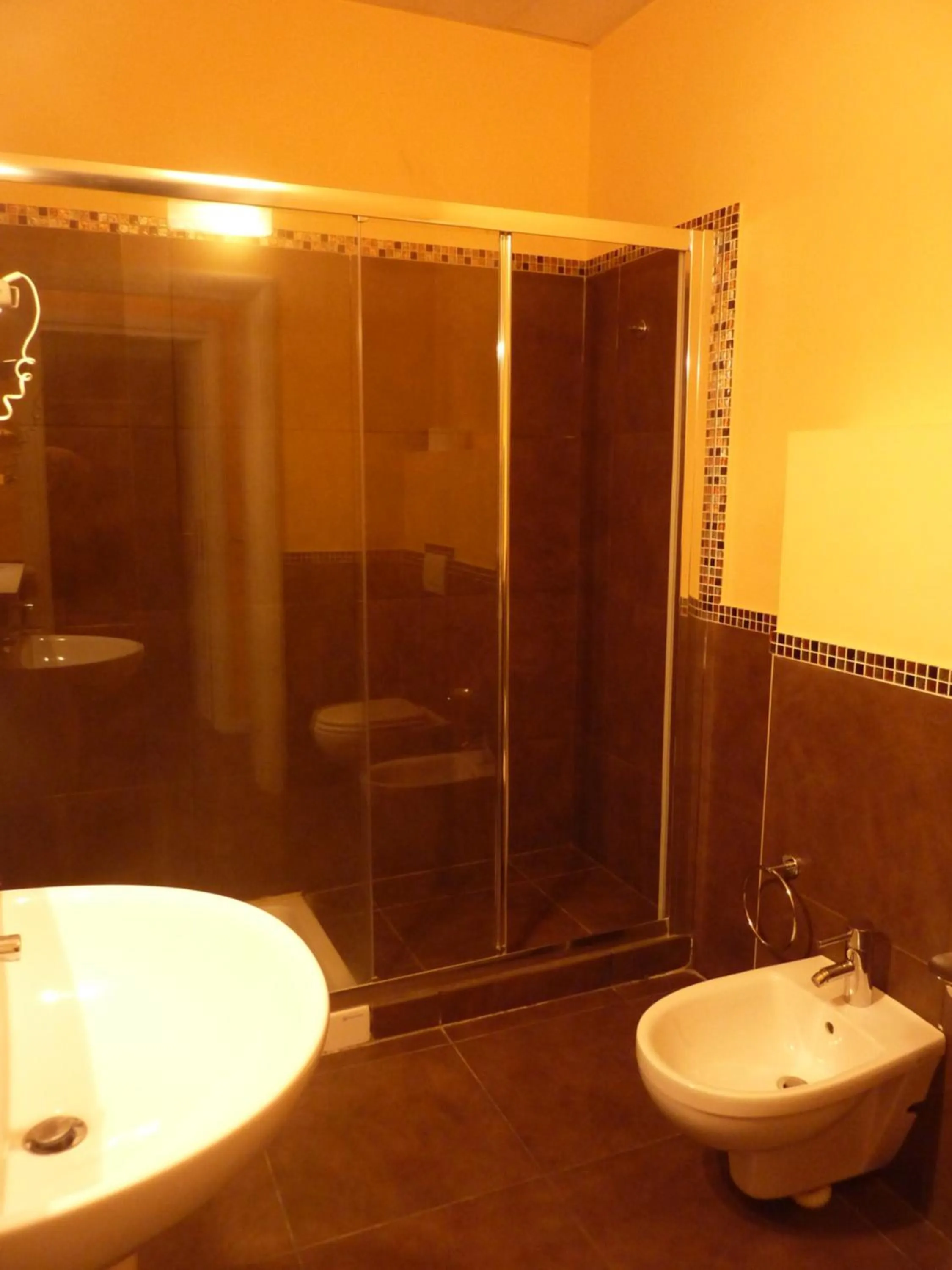 Shower in Hotel Padus Meublè Parma