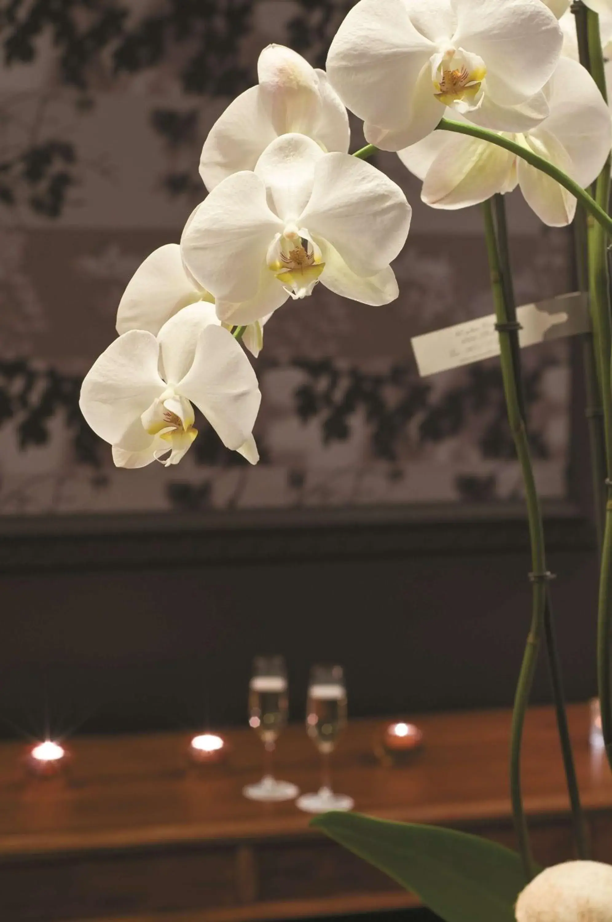 Property building in Radisson BLU Balmoral Property building in Radisson BLU Balmoral