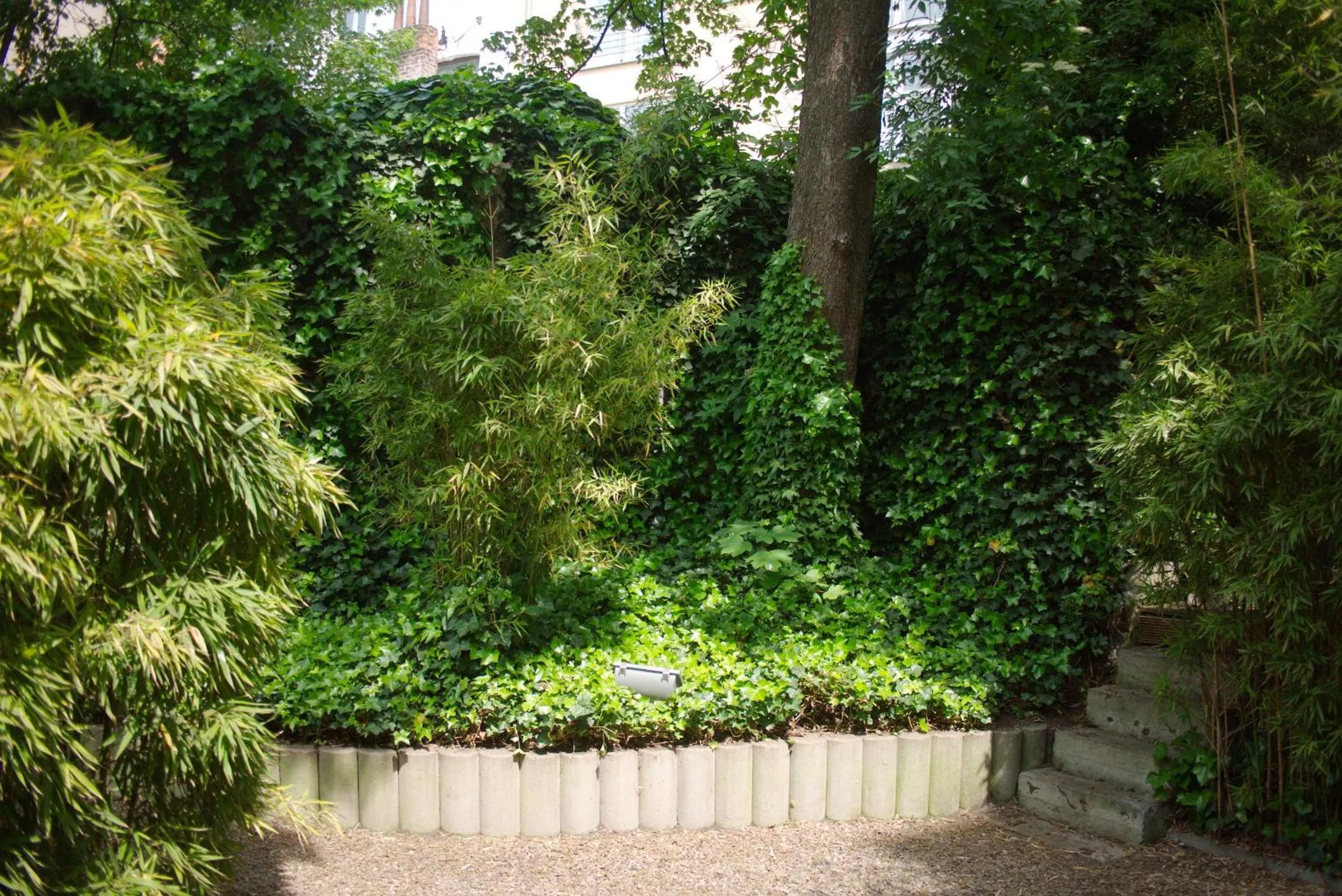 Garden in Hotel Du Congres