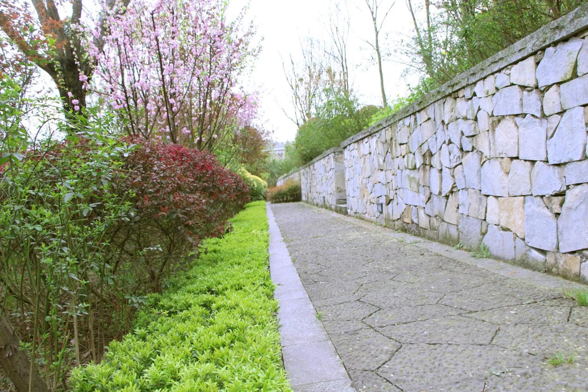 Property building in Holiday Inn Express Emei Mountain, an IHG Hotel