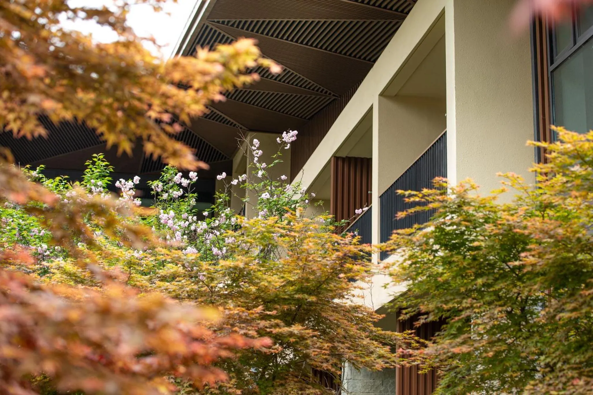 Other in Holiday Inn Express Emei Mountain, an IHG Hotel