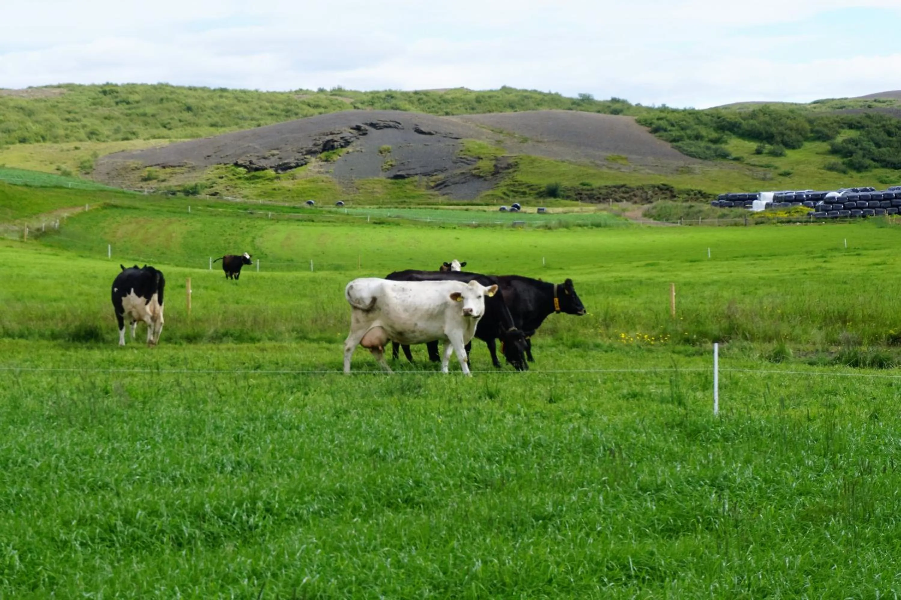 Natural landscape in Middalskot Cottages